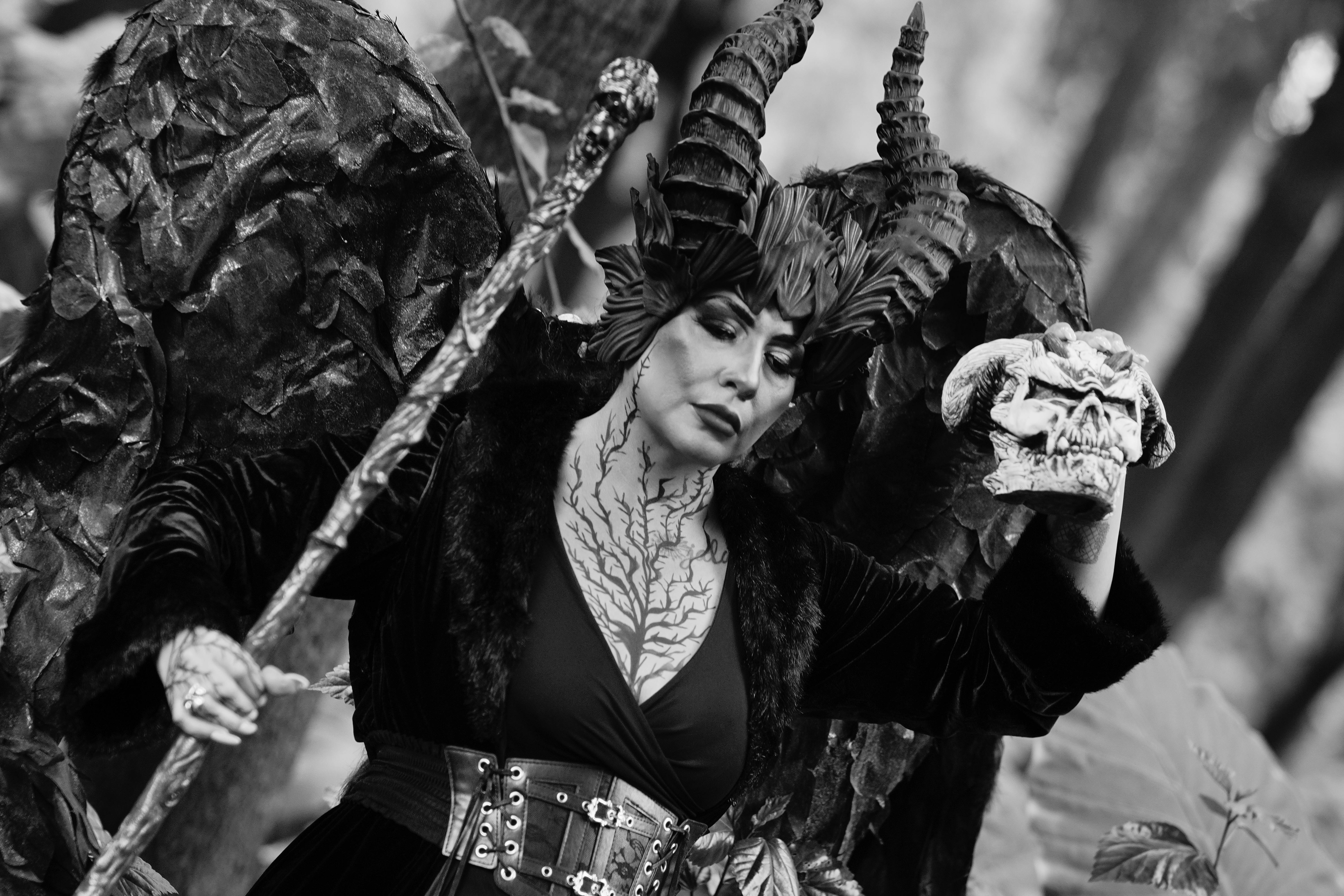 Gratuit Photos gratuites de ailes, arbres, art gothique Photos