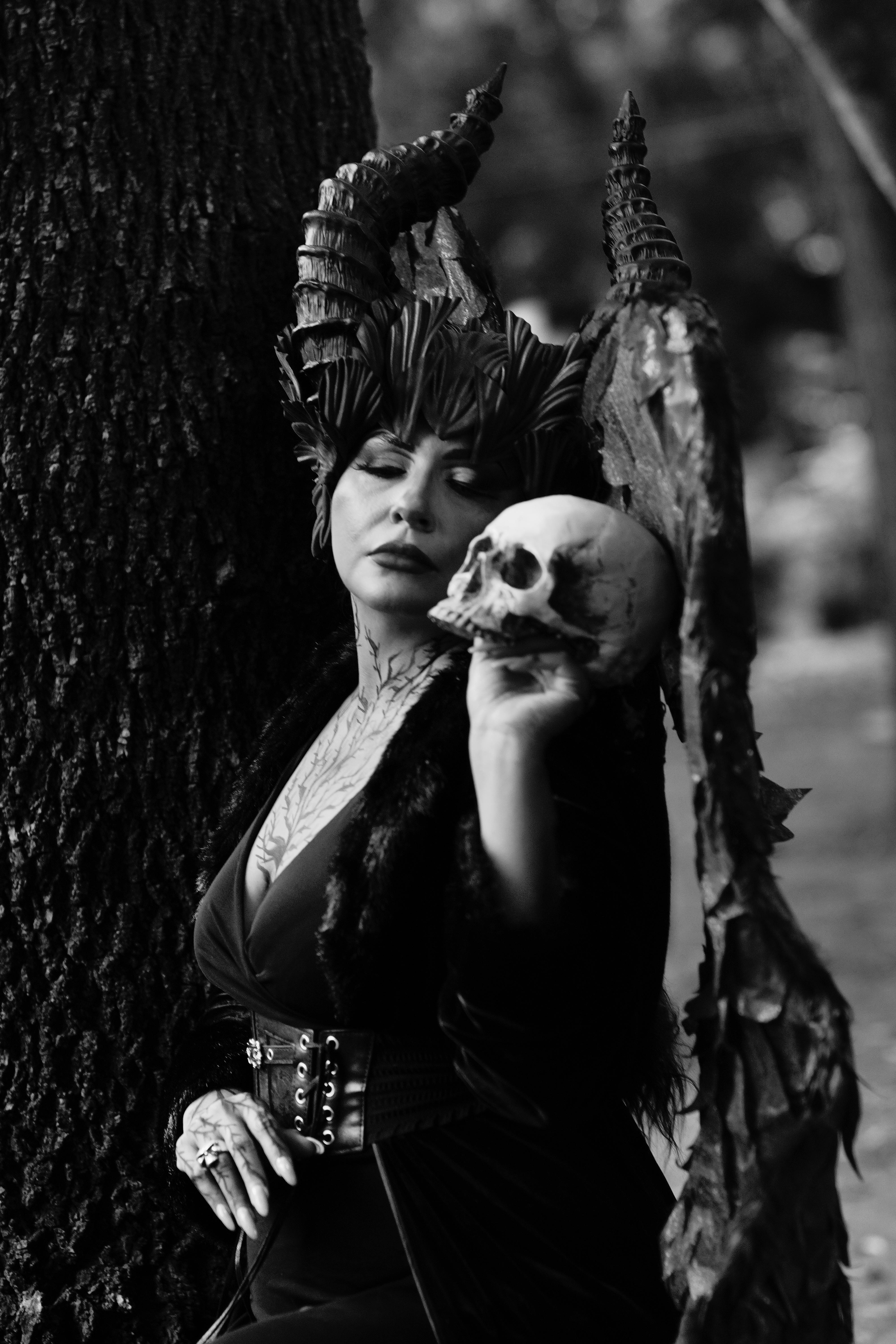 Gratuit Photos gratuites de abstrait, accessoires, ailes Photos