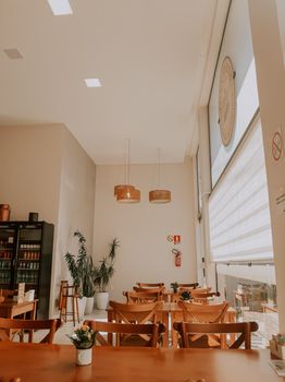Bright cafe interior with wooden furniture and potted plants, perfect for relaxing.