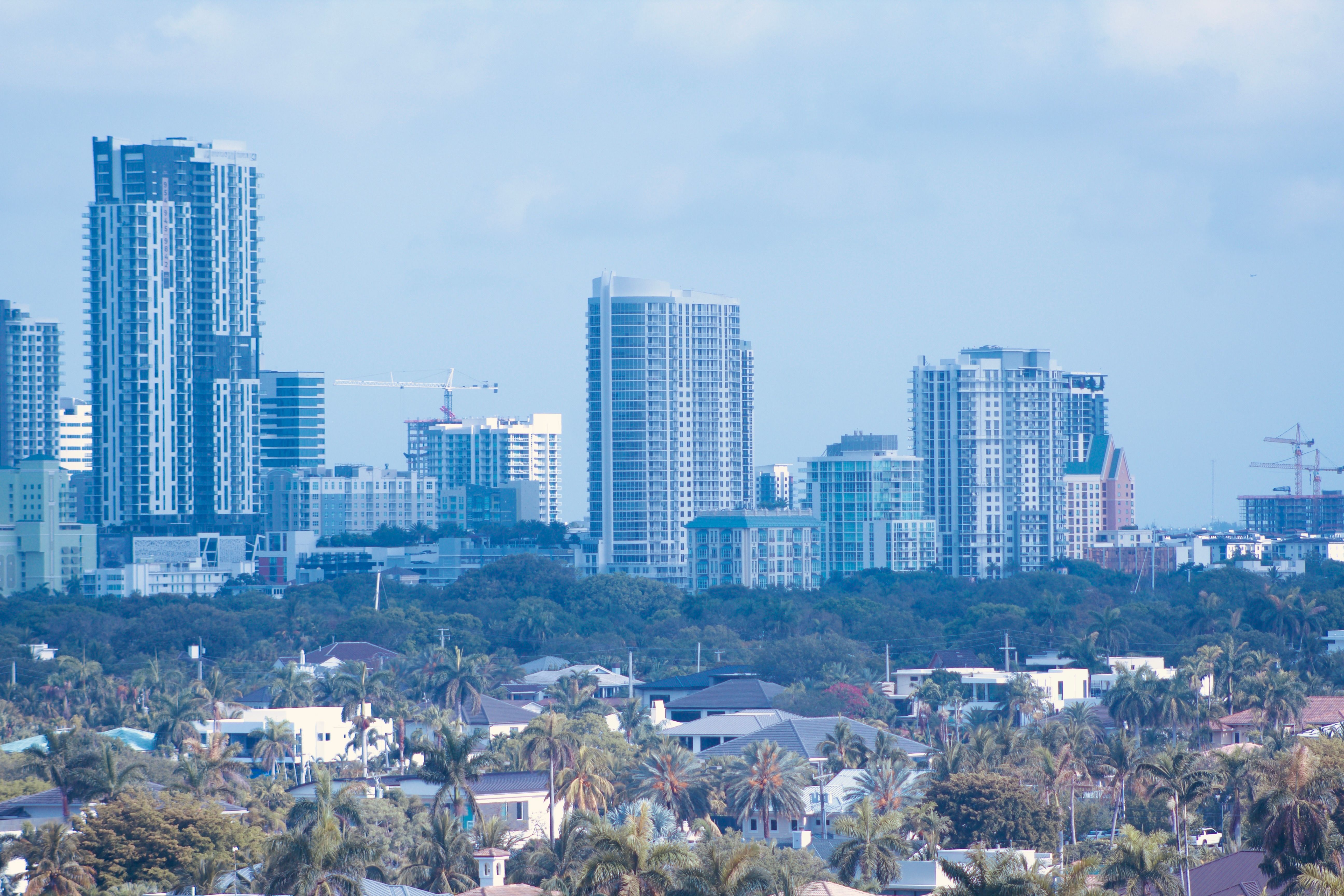 Modern urban skyline with high-rise buildings and palm trees under clear blue sky.