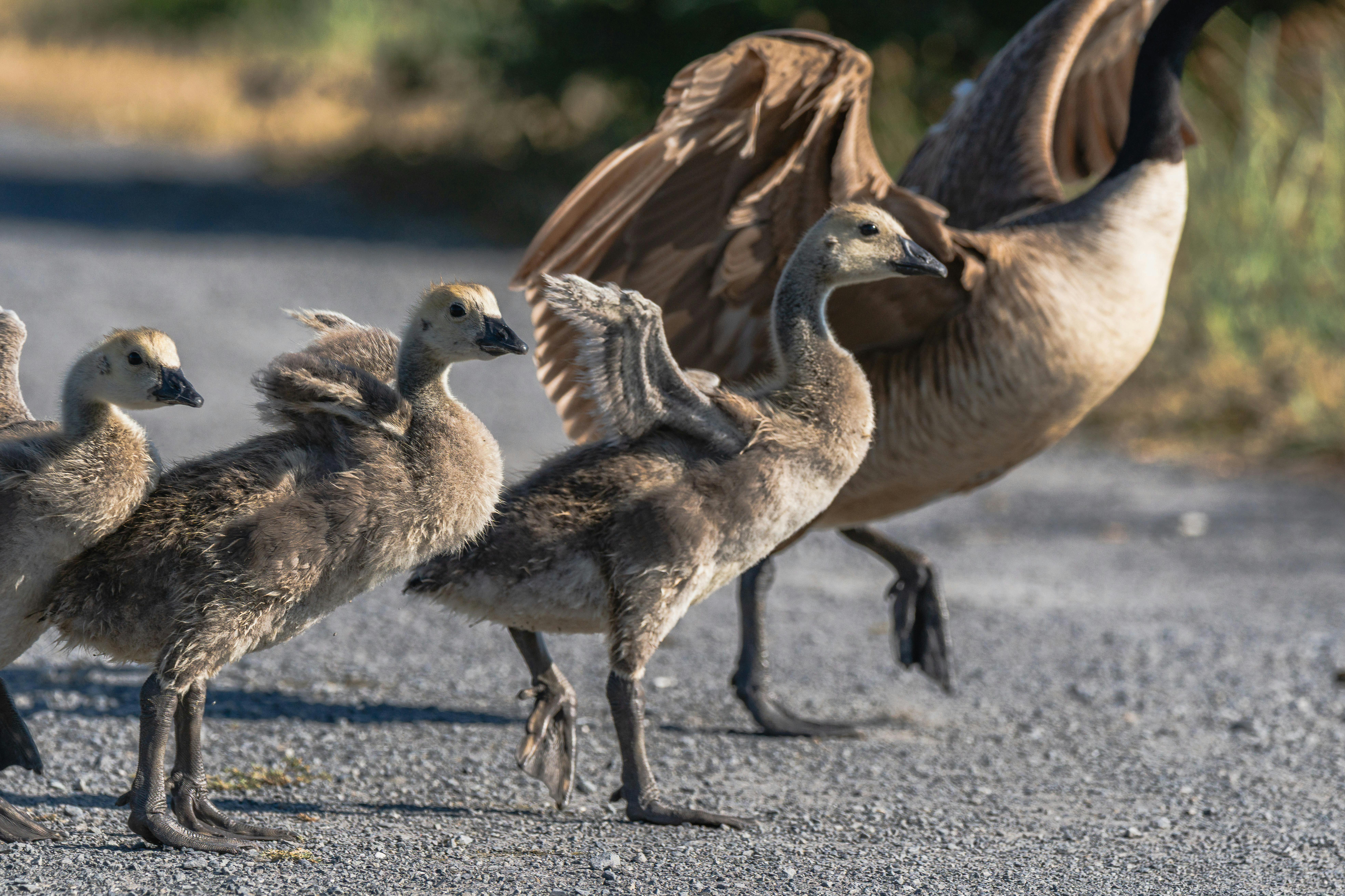 Rare Interviews with M Brunette Moms in Movies
