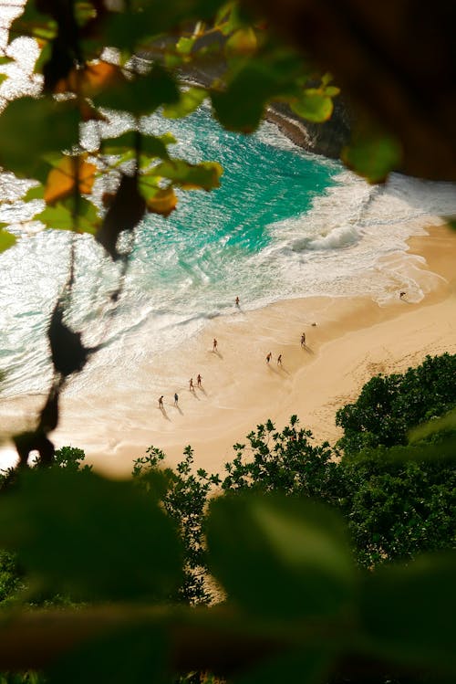 Fotografía Aérea De Personas Cerca De La Orilla Del Mar