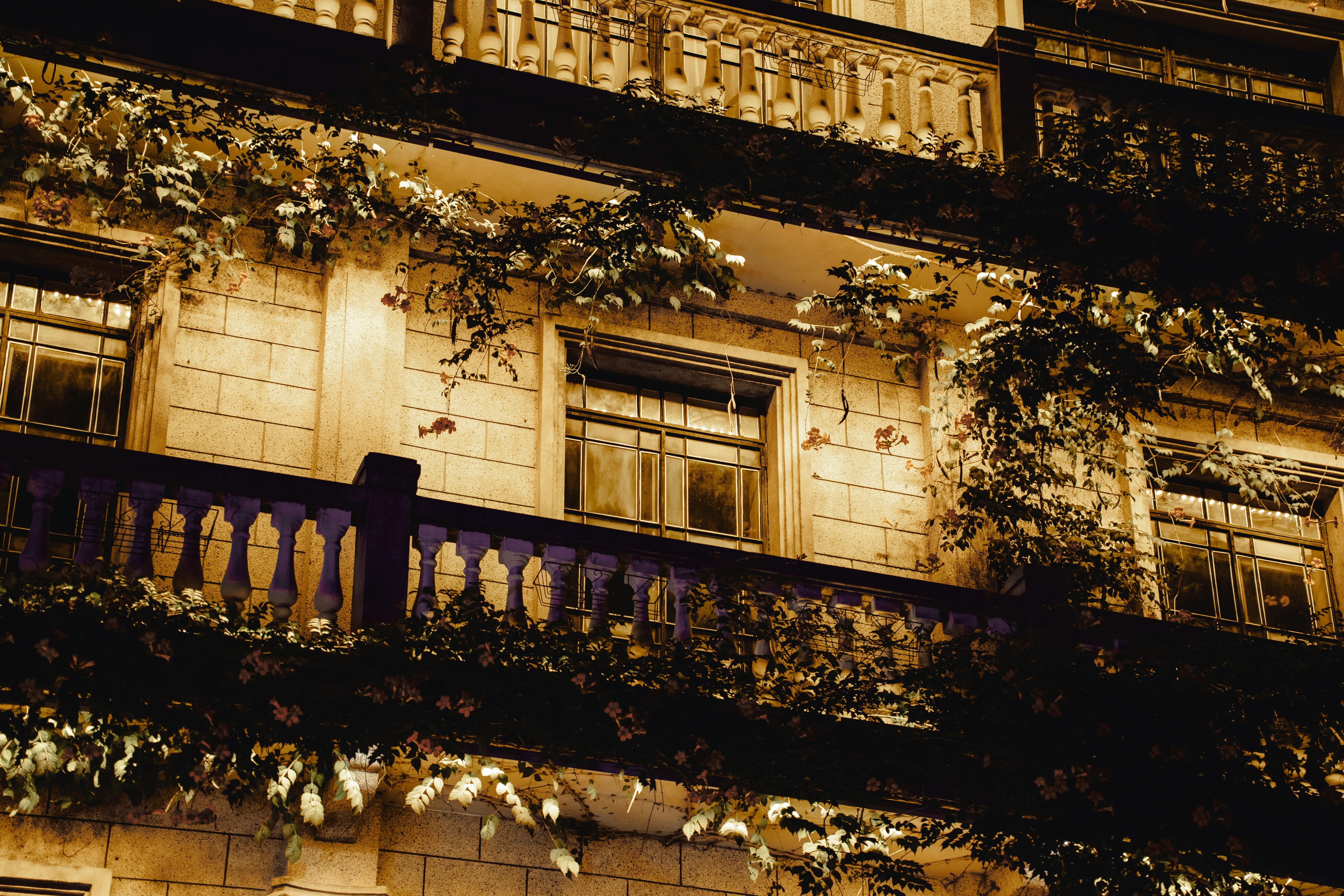 Gratuit Façade aux tons chauds d'un élégant bâtiment la nuit avec des décorations de vigne, situé à Ningbo, Zhejiang. Photos