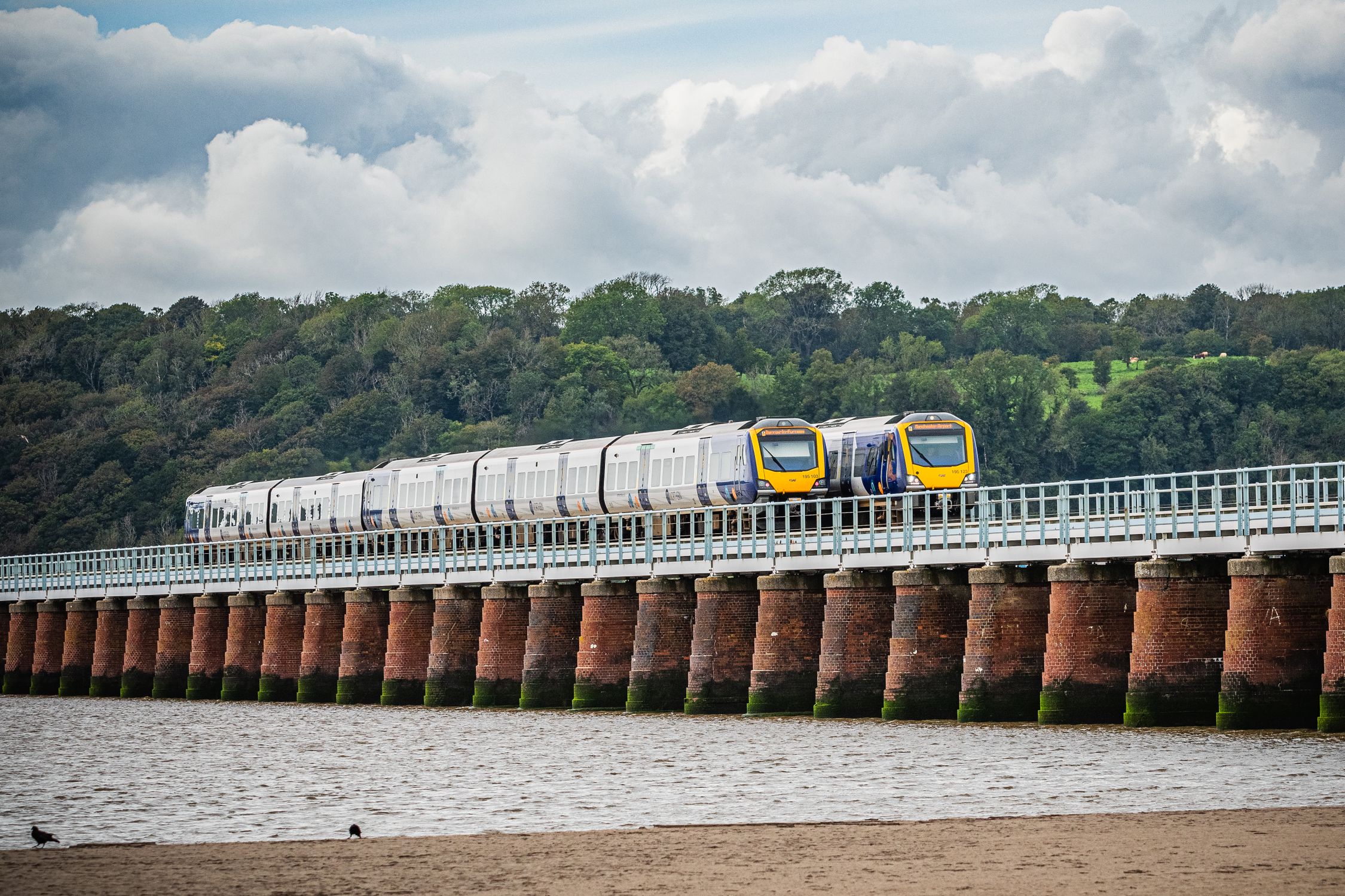 Train Crossing Arnside Viaduct in England · Free Stock Photo