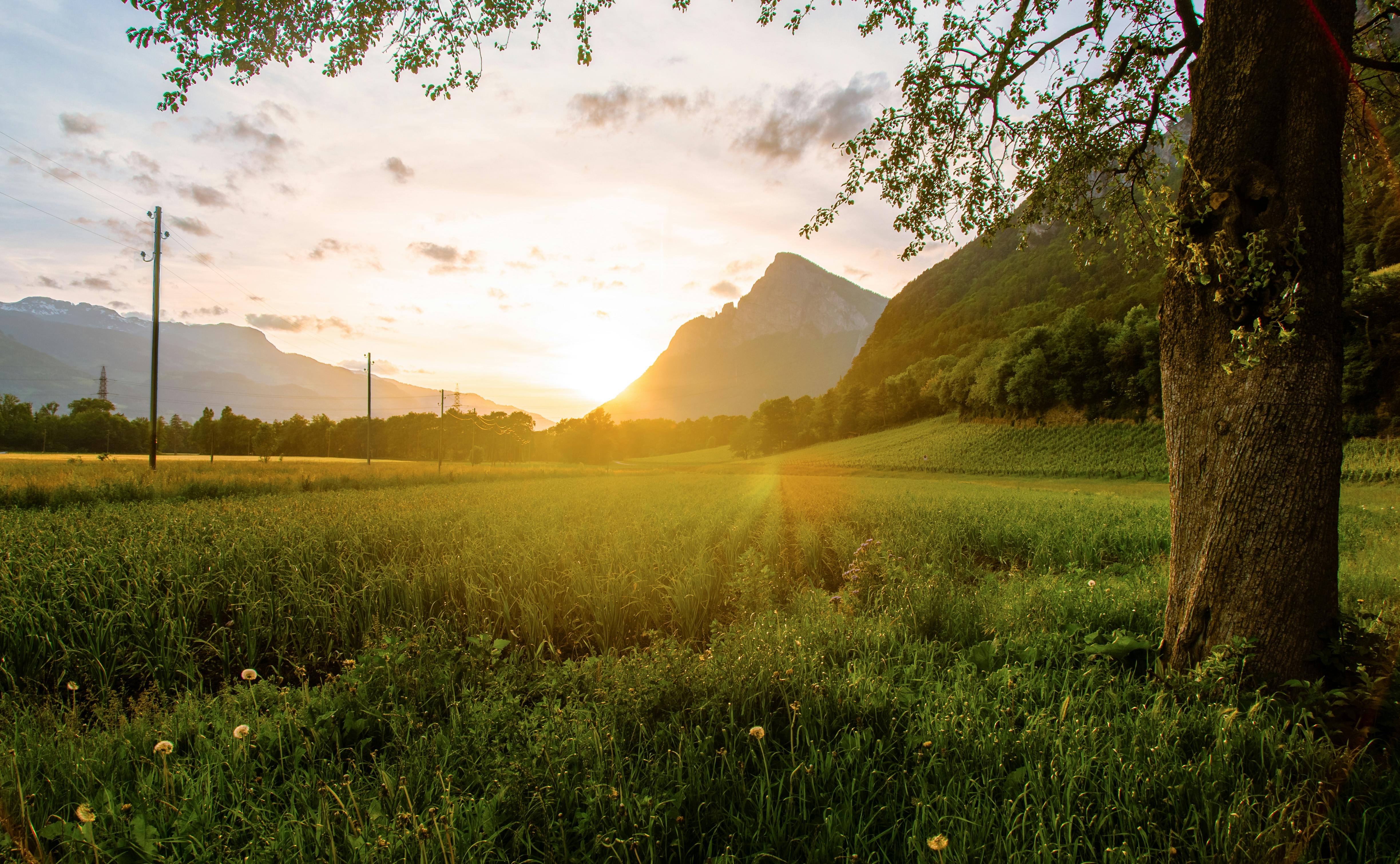 Beautiful sunset over a lush green landscape with mountains in the background.
