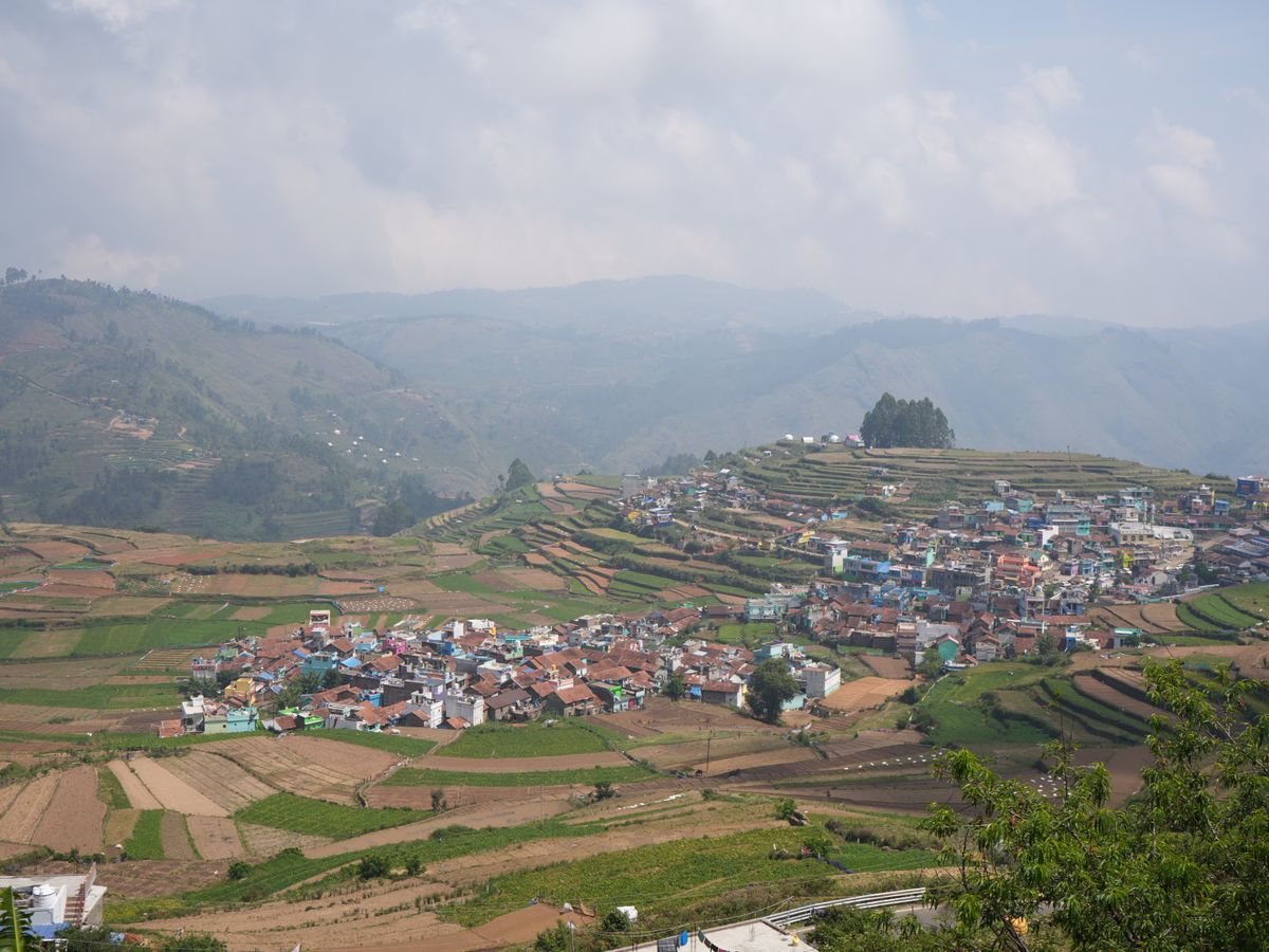 10 Day Transcendental Himalayan Retreat in Manali, India 2