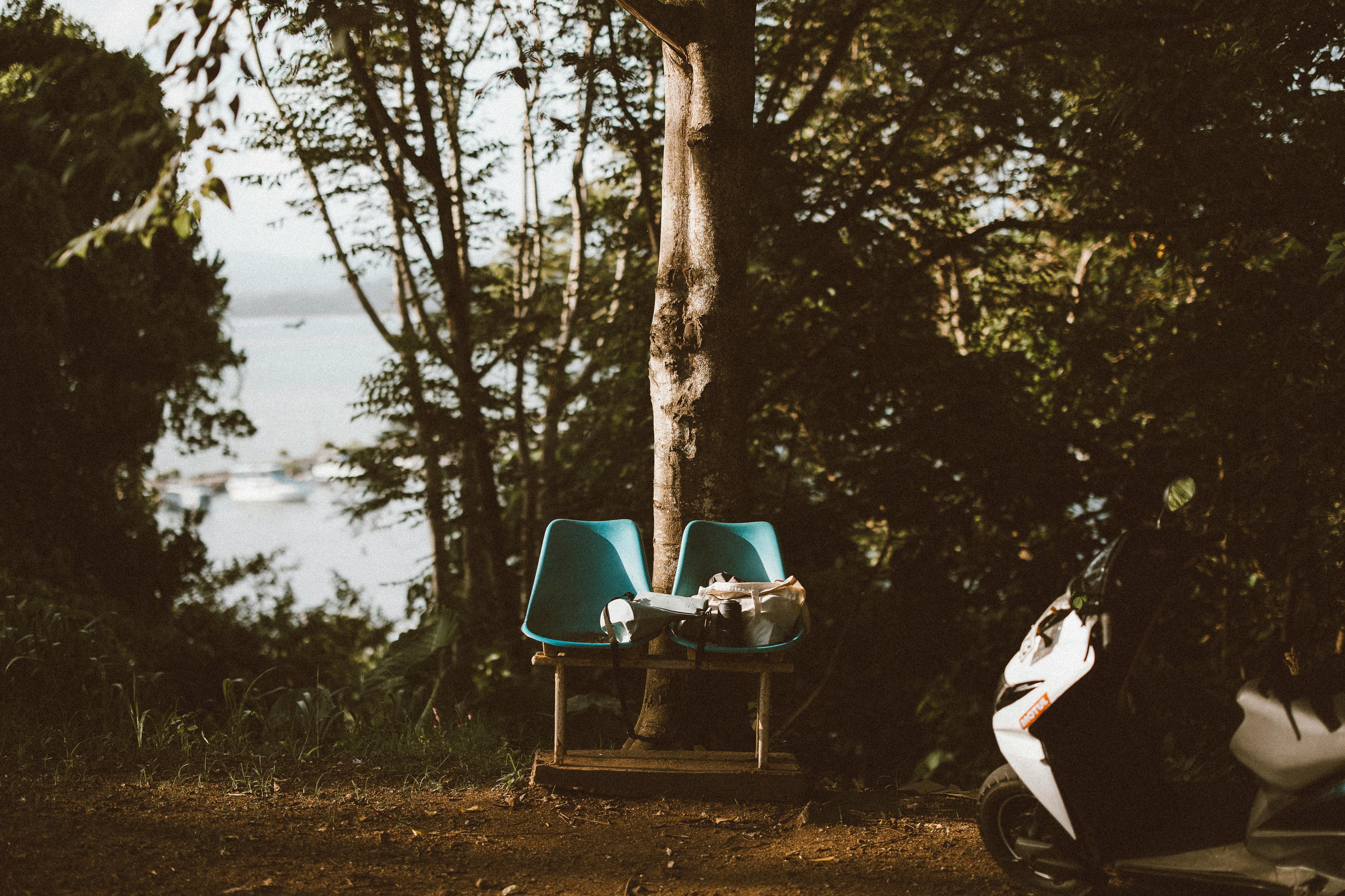 Gratis Fai Una Passeggiata Nella Bellissima Mirissa In Sri Lanka  Foto a disposizione