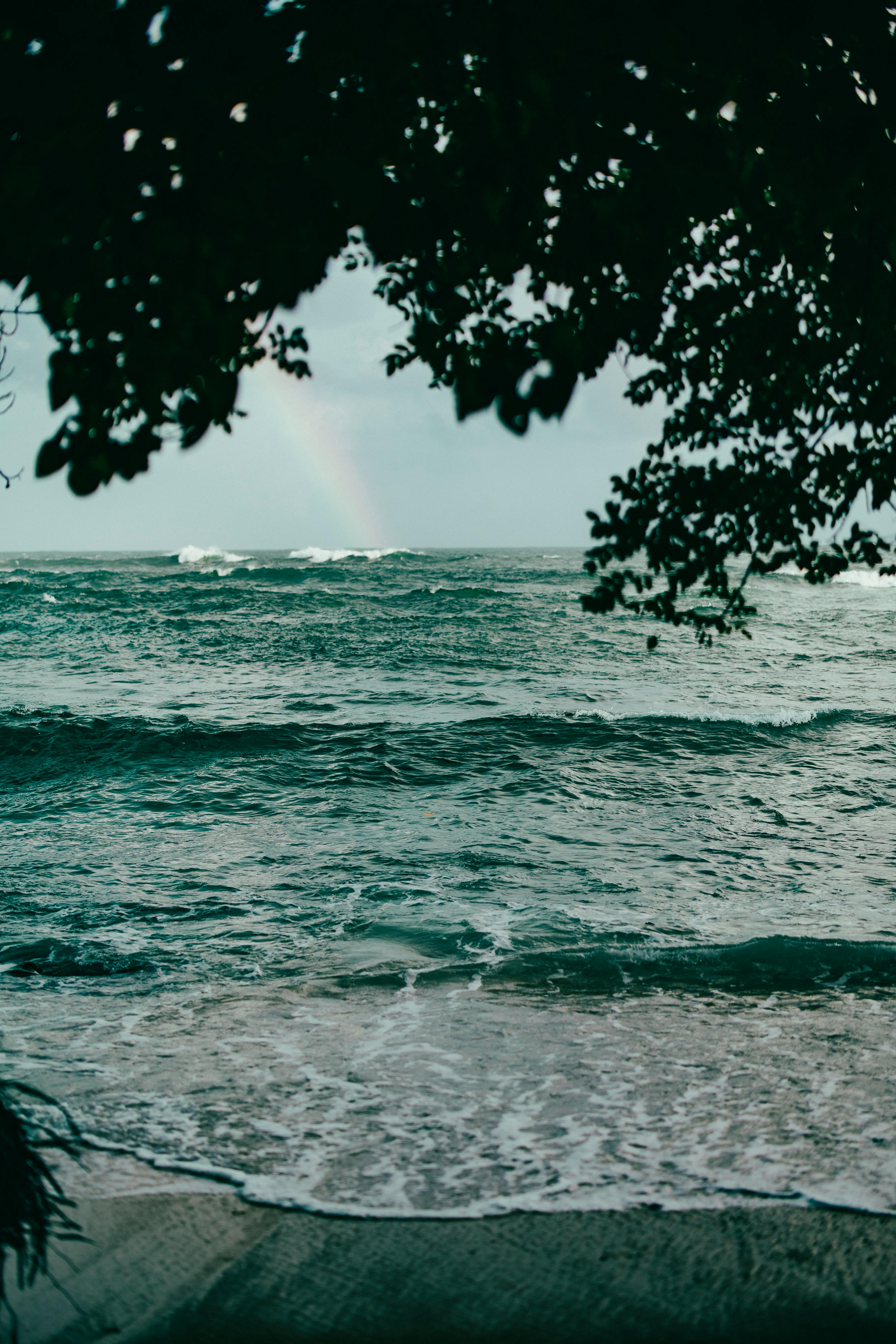 Destinasi Wisata Alam Batam: Surga Tersembunyi di Balik Gemerlap Kota