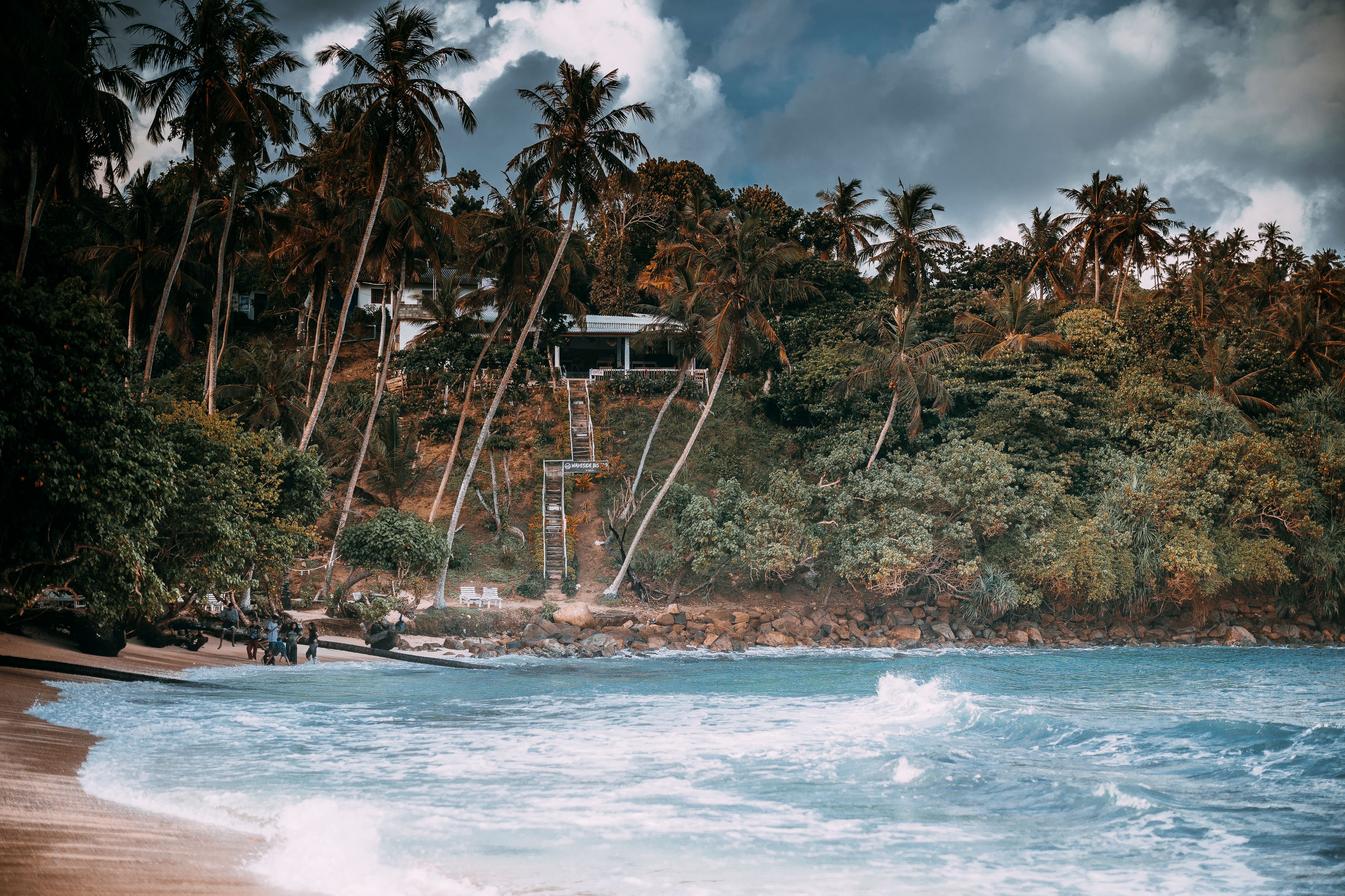 Scenic Tropical Beach with Palm Trees in Sri Lanka · Free Stock Photo