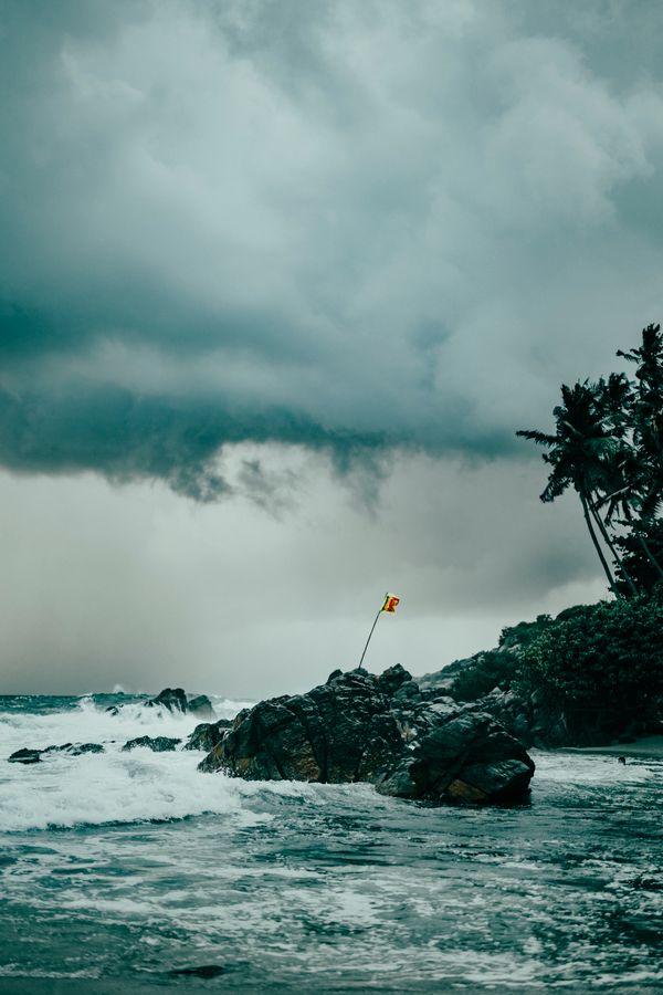 Best Time to Visit South Sri Lanka: An Honest Weather Guide (2026)