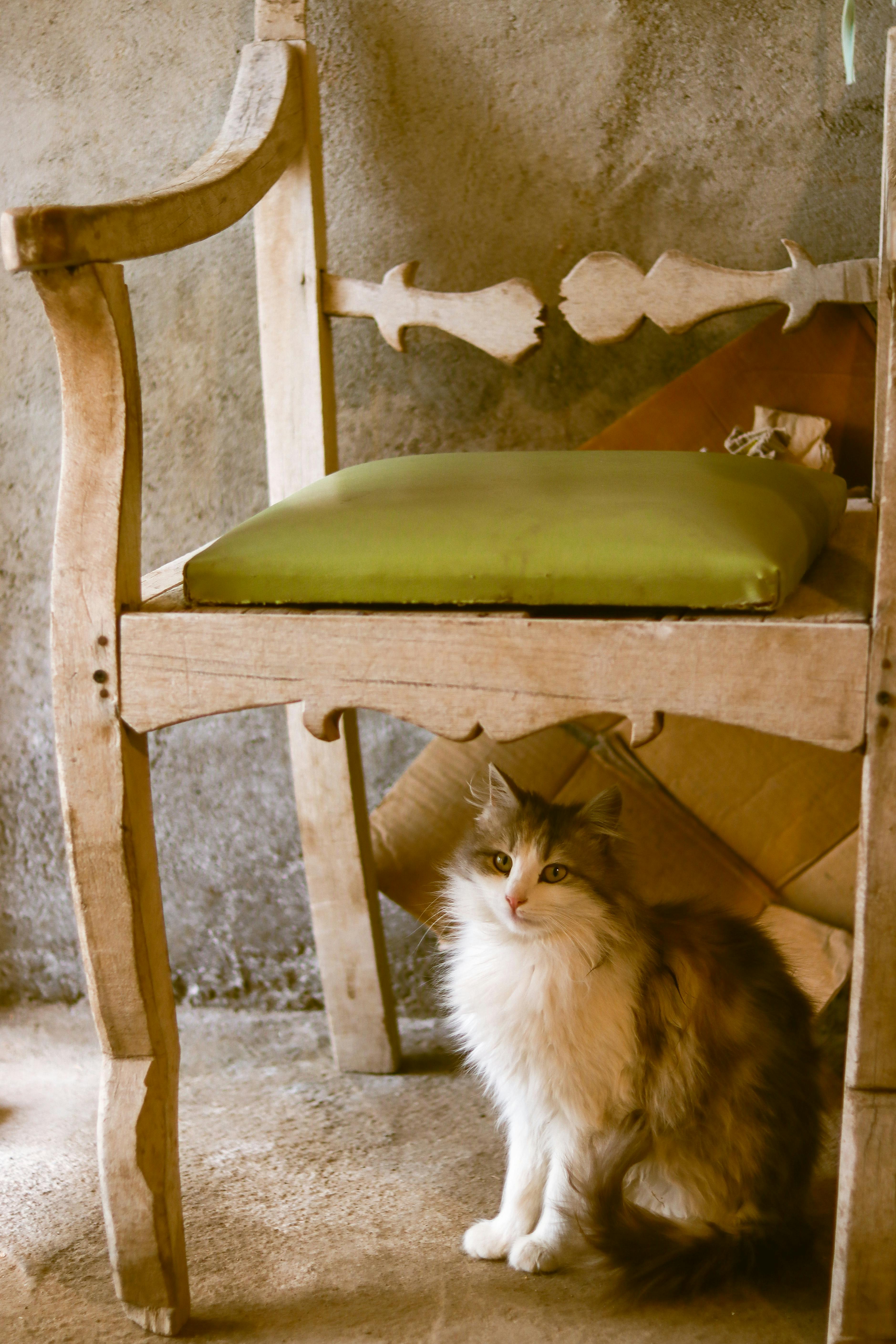 Kleid Rot: Entdecken Sie Die Trendigen Styles Für Jeden Anlass! 14 Rote Kleider im Vintage-Stil: Zeitlose Klassiker für Modebewusste