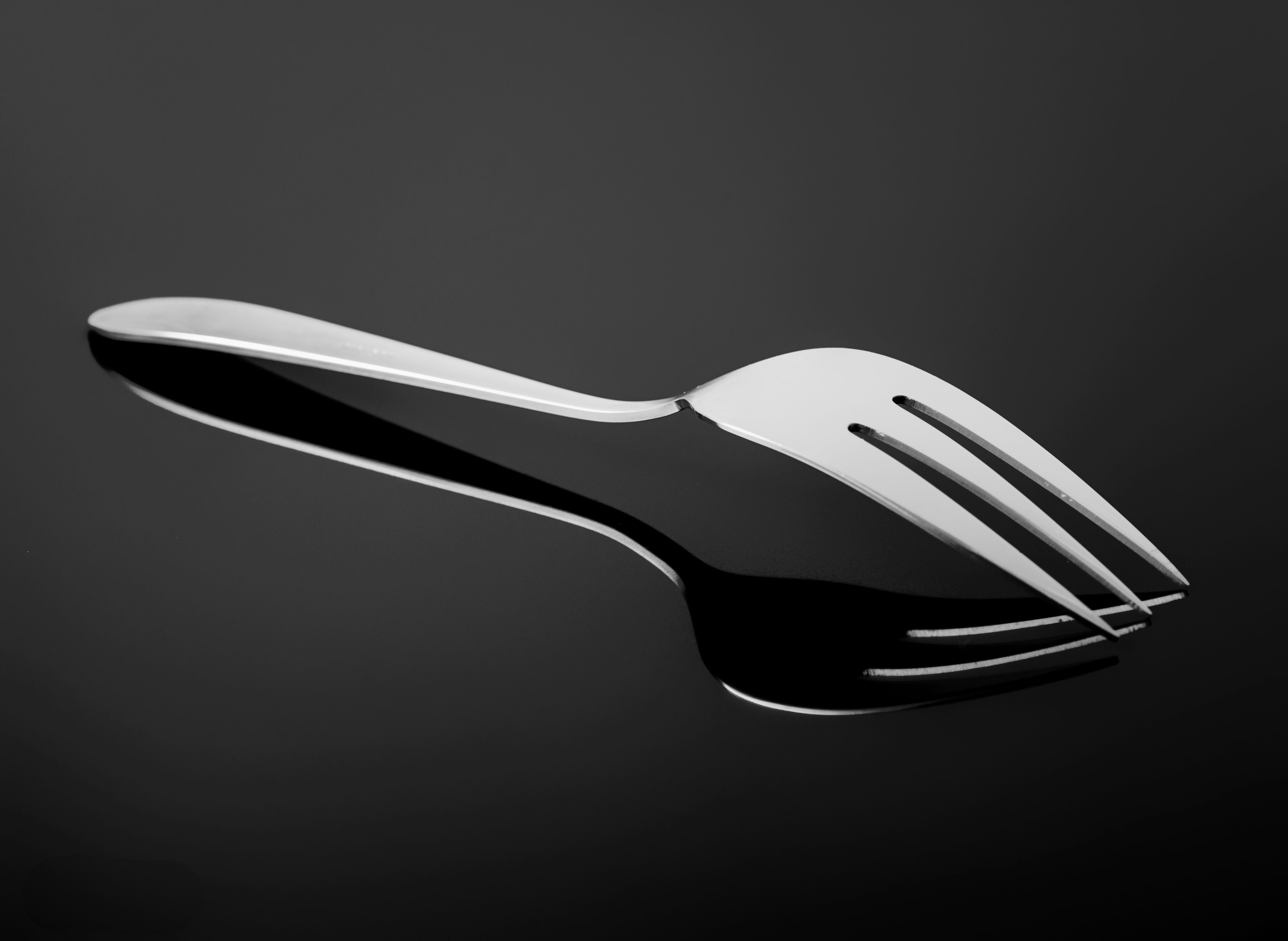 Bosmere B0080 Stainless Steel Garden Fork with Ash Handle