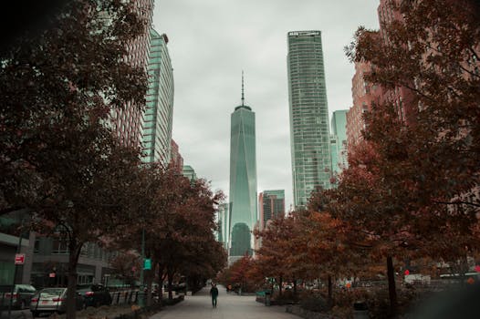 秋季，纽约市世贸中心一号被城市建筑包围