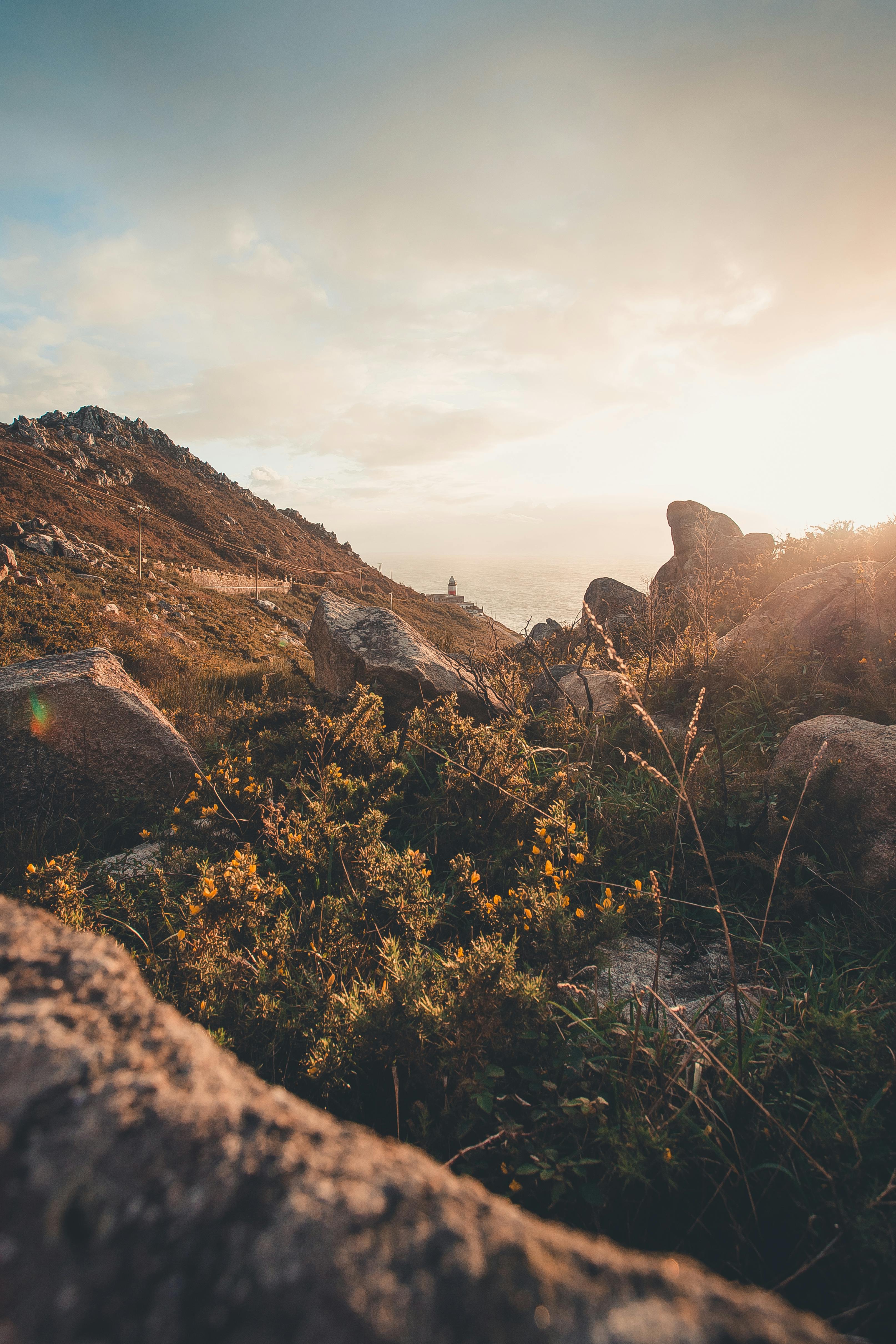 用岩石和植被捕捉日落时山景的宁静，营造出宁静的氛围