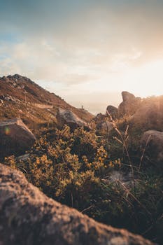 用岩石和植被捕捉日落时山景的宁静，营造出宁静的氛围