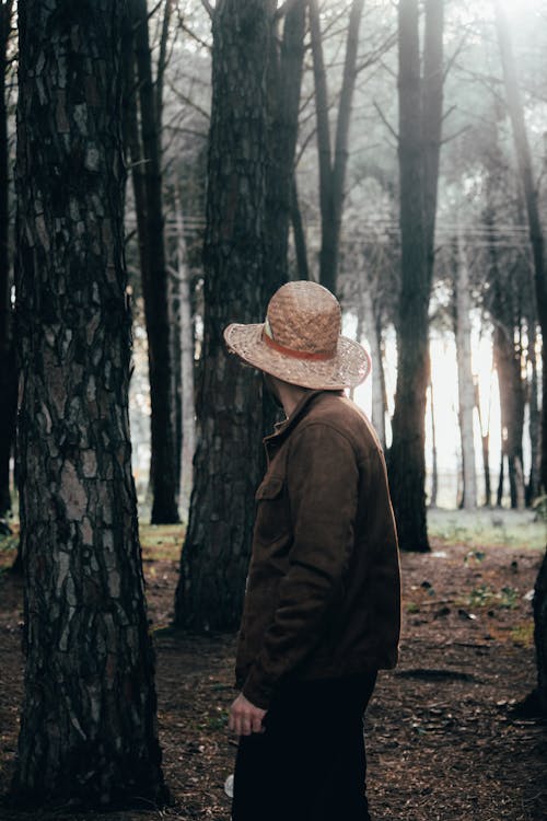 Person Standing Under Trees