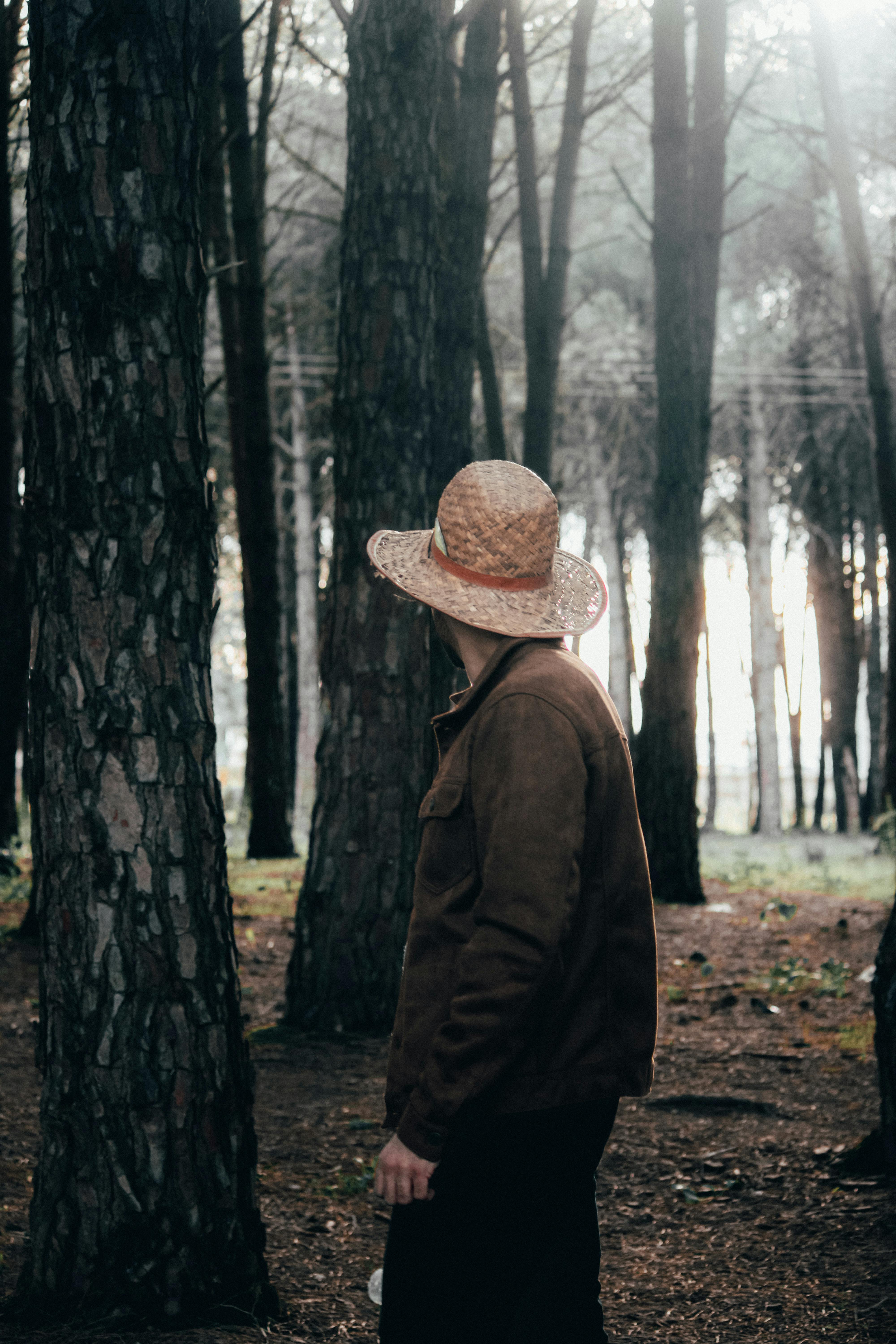 Person Standing Under Trees · Free Stock Photo