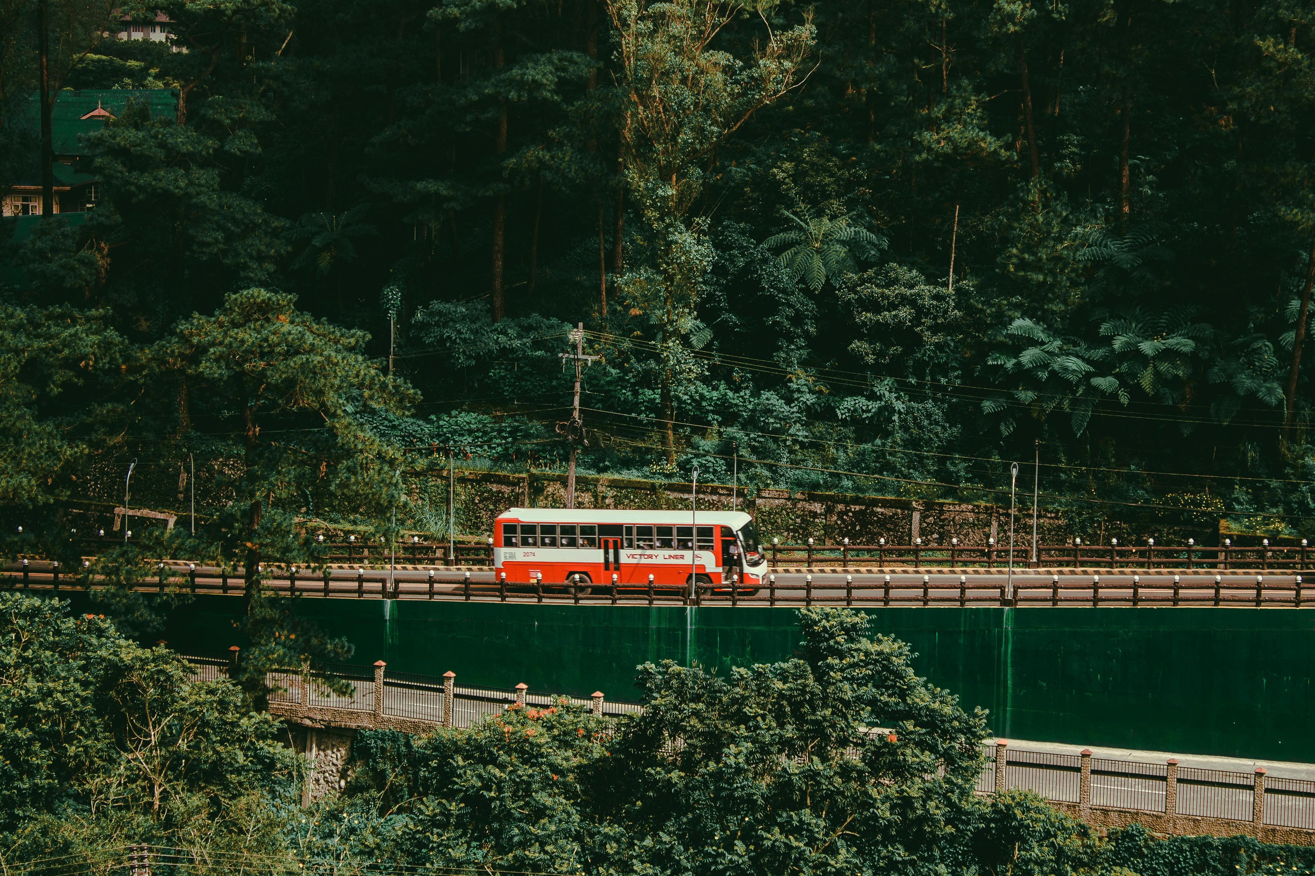 white and orange bus on roadway near trees