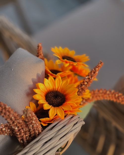 Free Colorful arrangement of sunflowers in a wicker basket, perfect for seasonal decor. Stock Photo