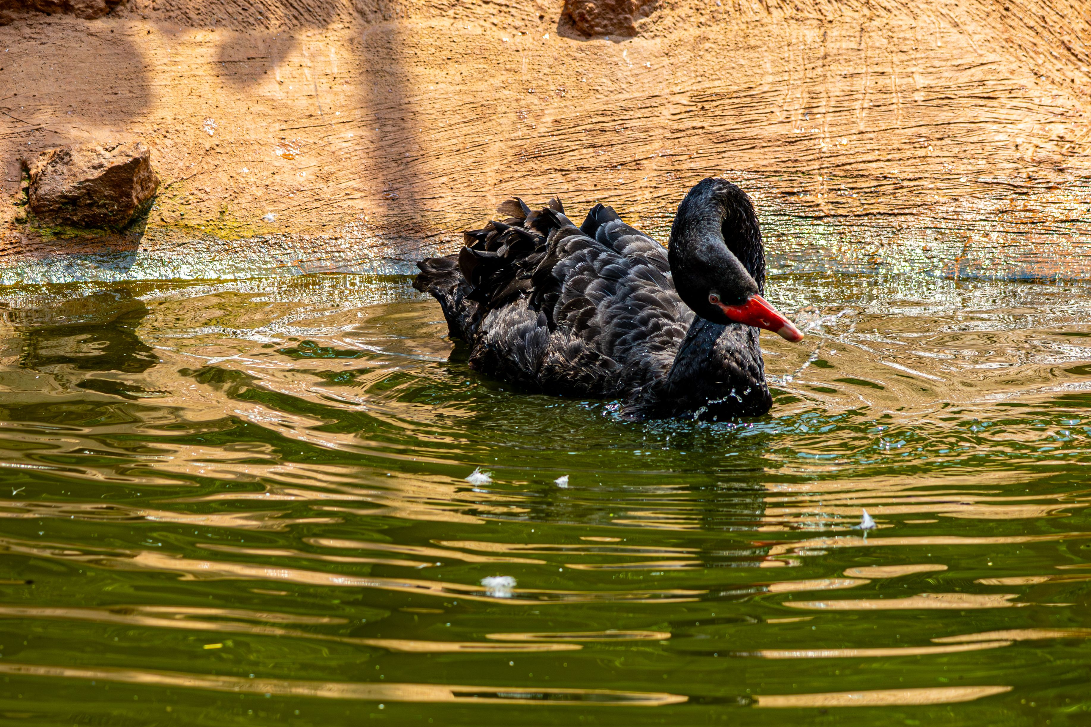 Jaipur zoo