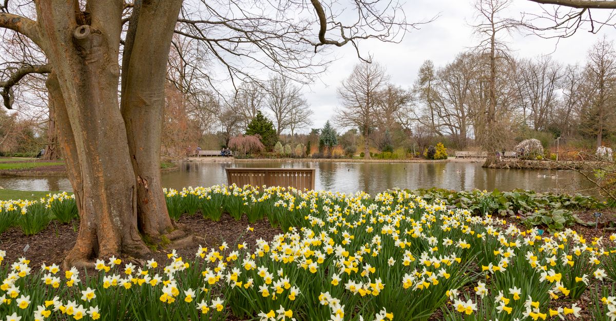 Exploring the Best Leisure Activities for Relaxation