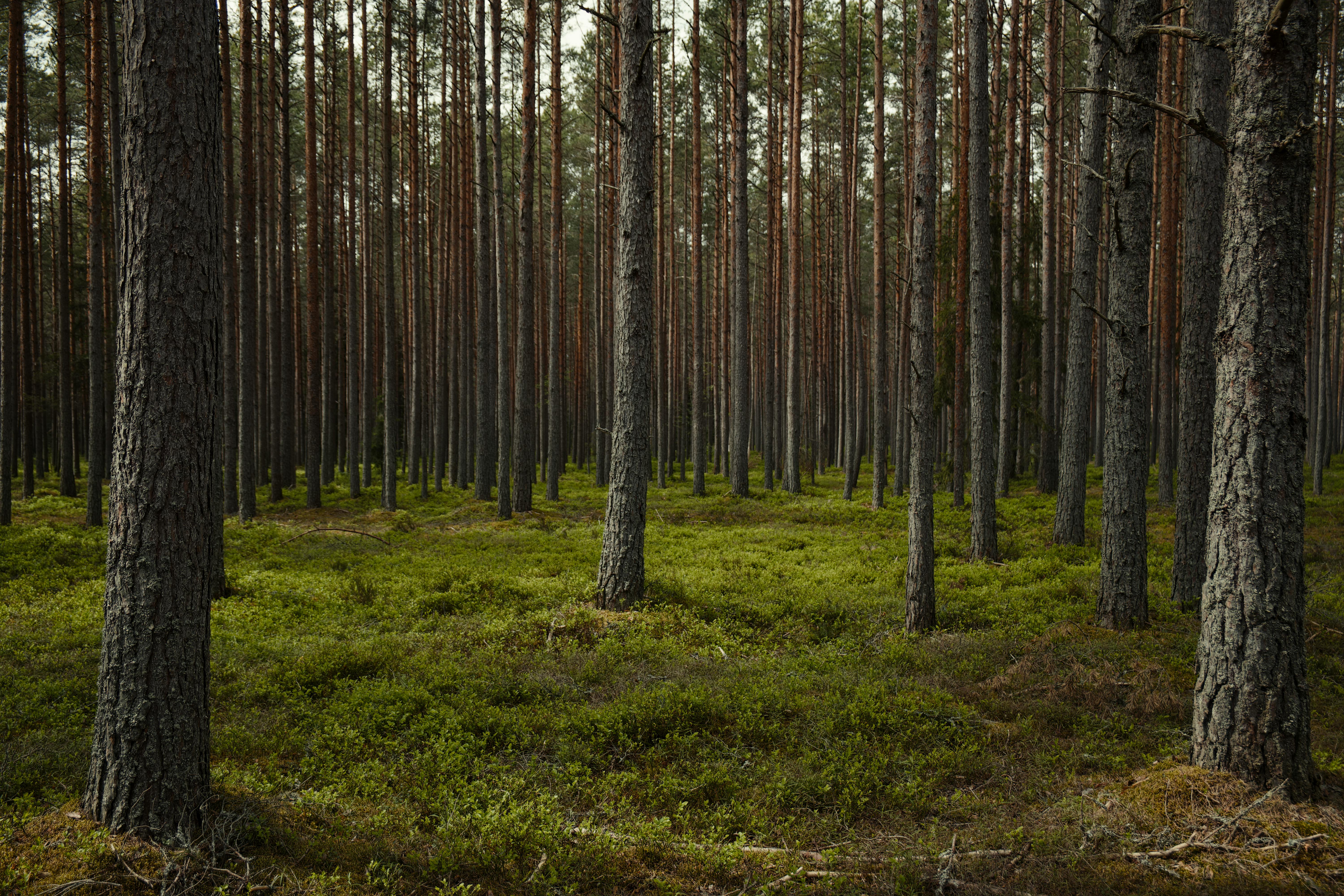 Groundbreaking Therapies for Ultimate Healing