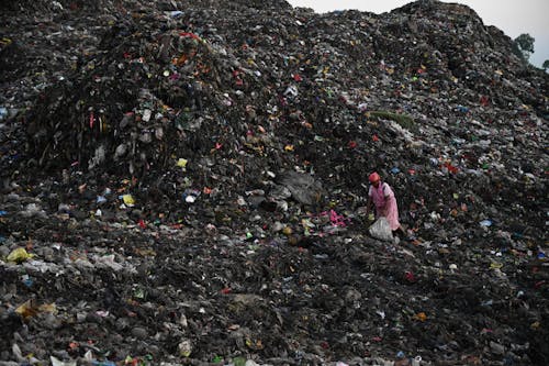 Person Collecting Trash on Landfill