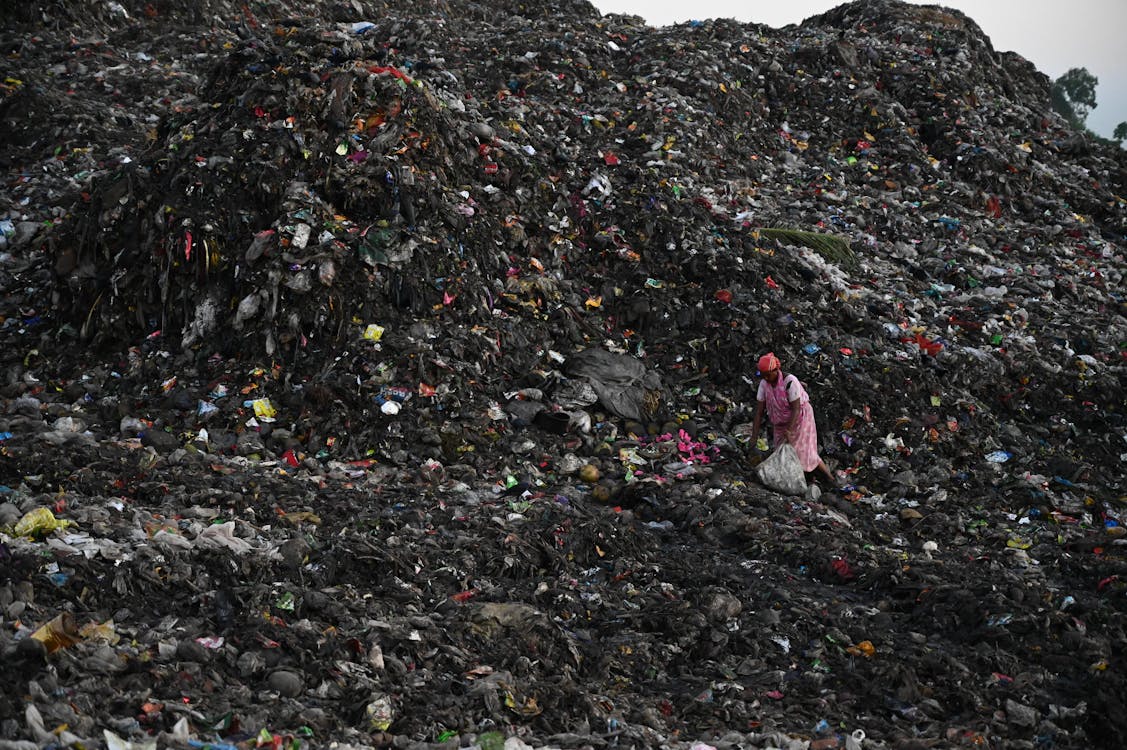 Photo of Person Collecting Trash on Landfill