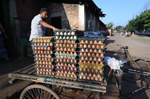 คลังภาพถ่ายฟรี ของ ขาย, ไข่ไก่