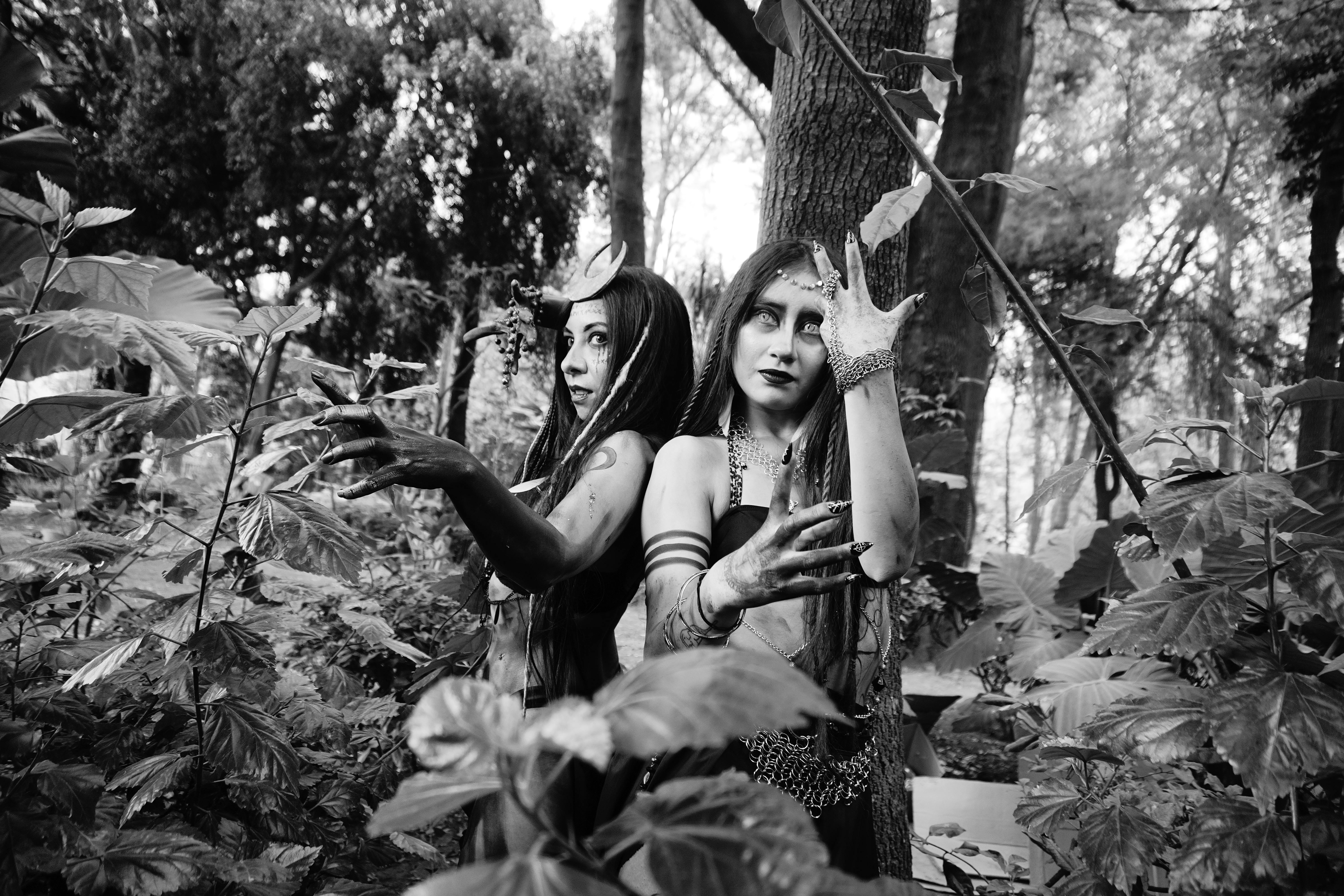 Discover the Hidden Secrets of Enchanted Realms