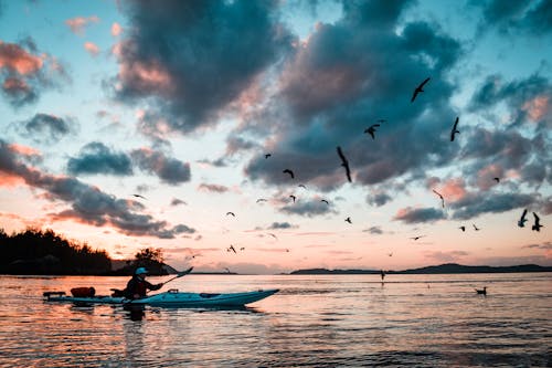 Photo De Silhouette De Femme à Cheval Sur Le Kayak Au Milieu De La Mer