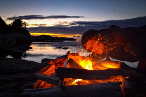 Gratis arkivbilde med bål, brann, flamme