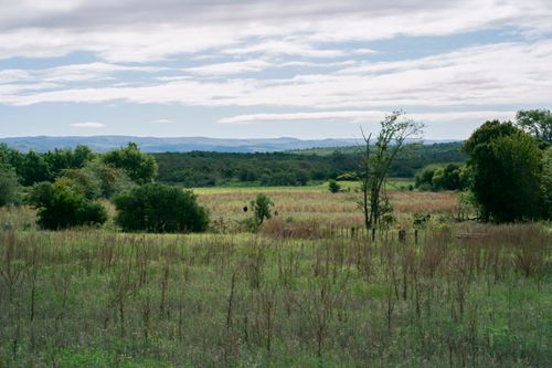 Free Lush grasslands with trees and distant hills in Río de los Sauces, Córdoba, Argentina. Stock Photo