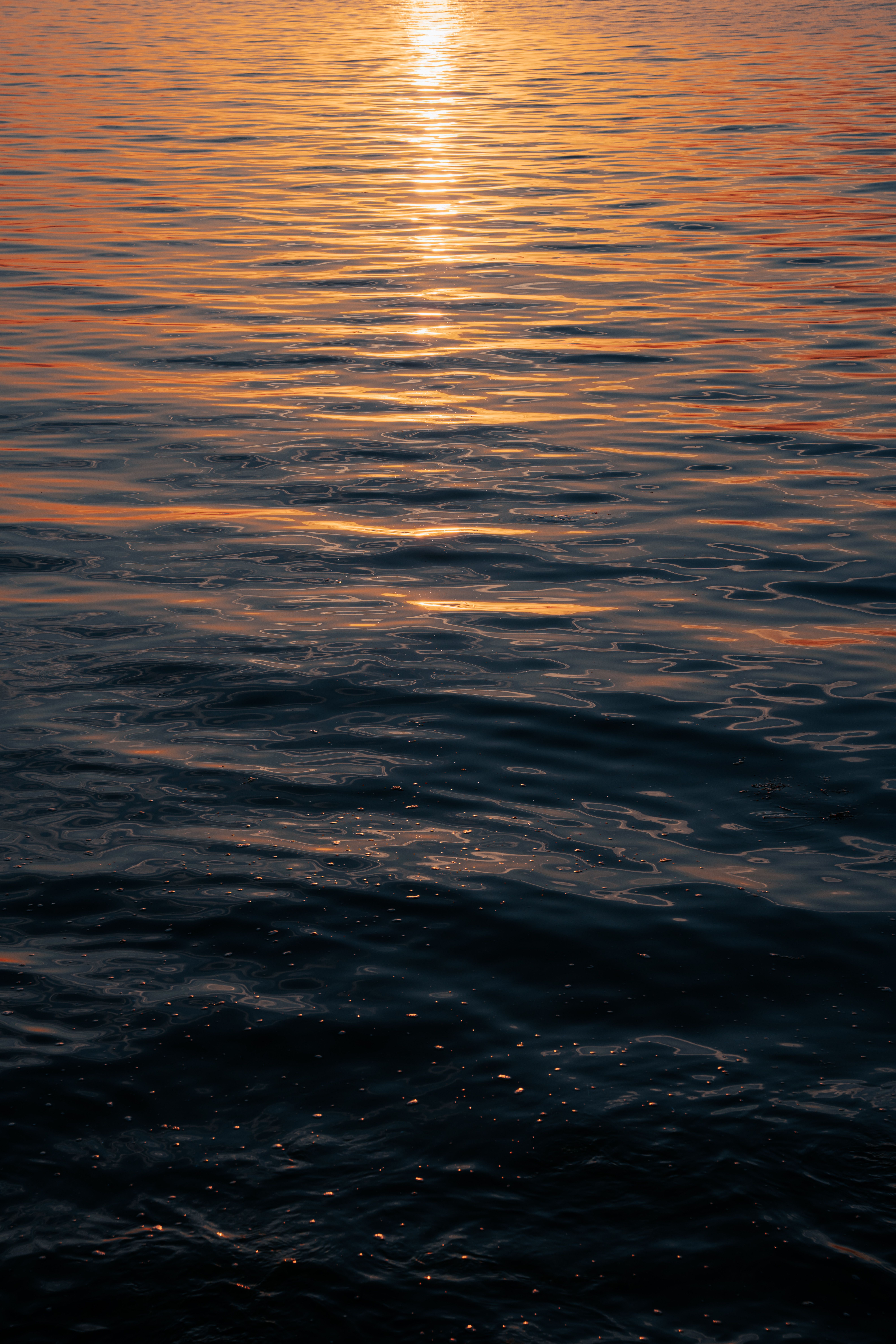 Golden Sunset Reflections on Tranquil Water · Free Stock Photo