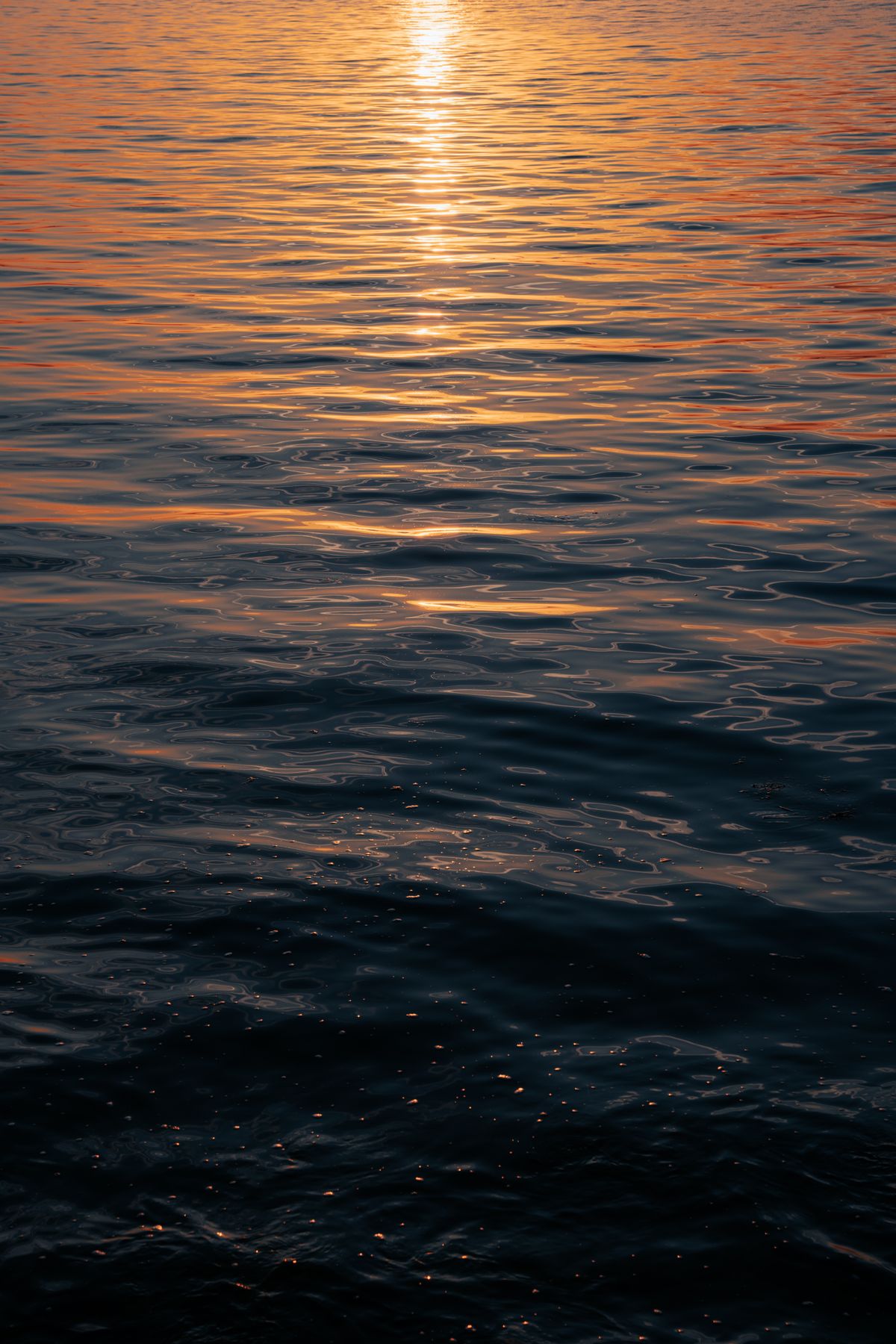 Sunset Reflection on Rippling Water Surface · Free Stock Photo