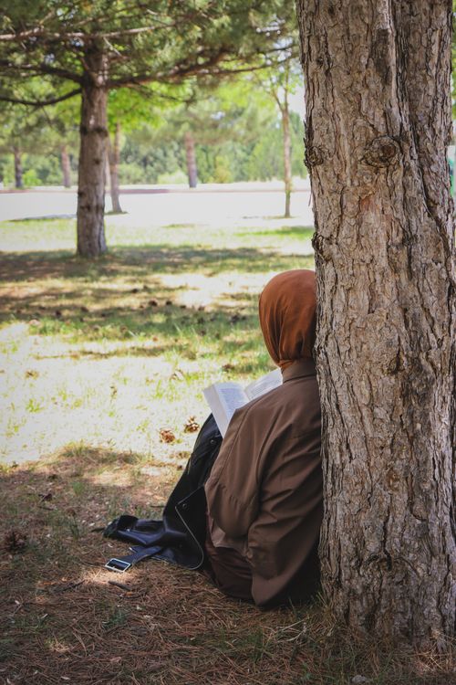 Free An individual in a hijab reads under a tree in a peaceful park on a sunny day. Stock Photo