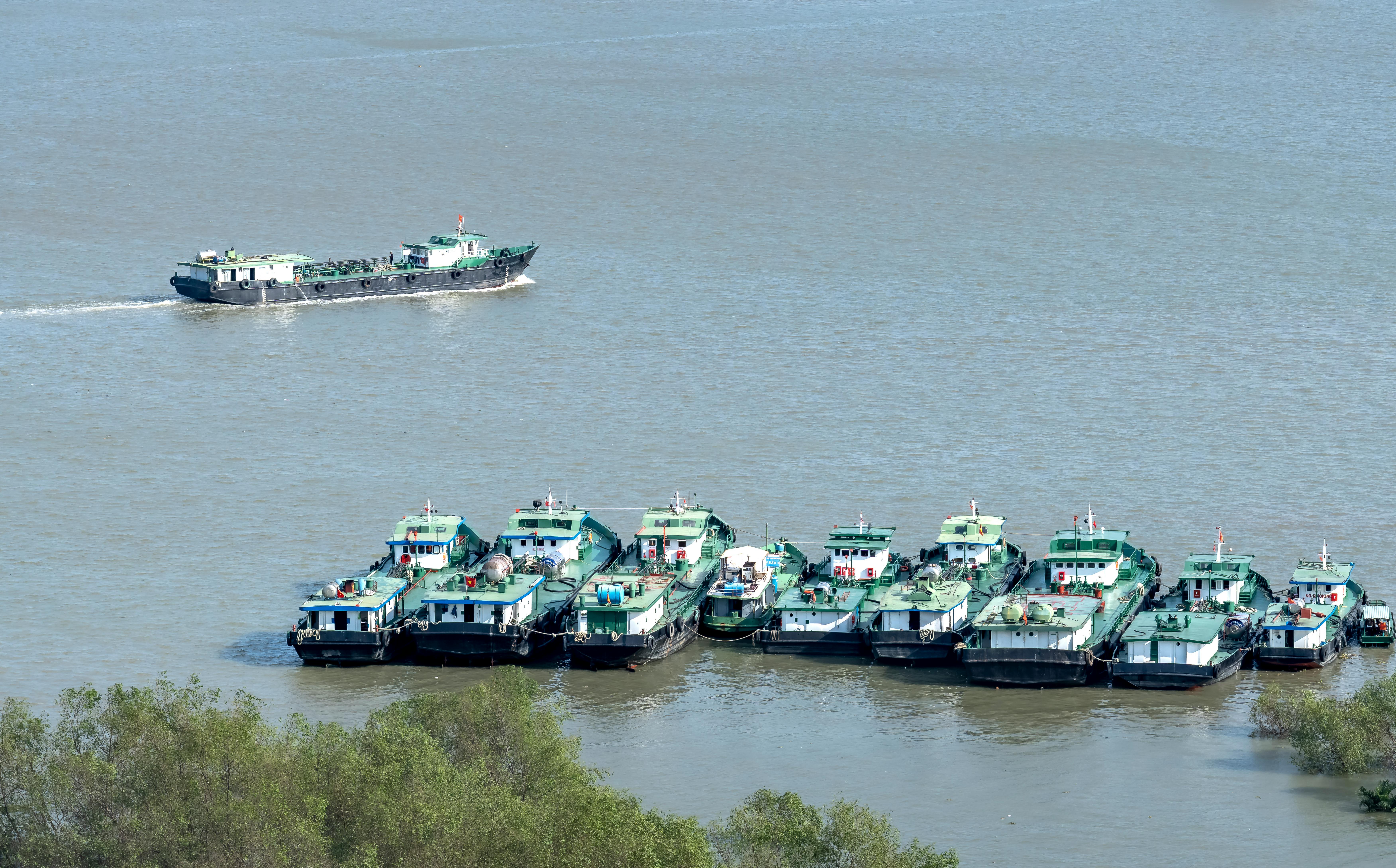 August Fleet Sales See Double-Digit Growth in Commercial and Rental Channels — Photo by Quang Nguyen Vinh on Pexels