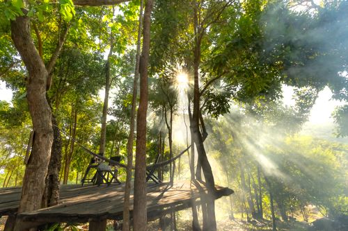 Free Serene forest deck with sunbeams filtering through trees, featuring a hammock and chairs. Stock Photo