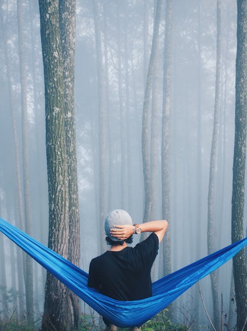 Человек, сидящий на синем гамаке в окружении высоких деревьев