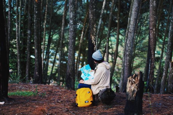 Traveller reading a map in a forest