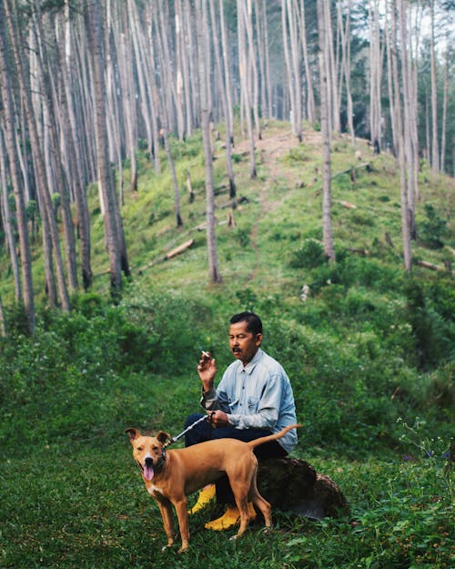 Pria Yang Duduk Dengan Anjing Duduk Di Atas Batu Di Hutan