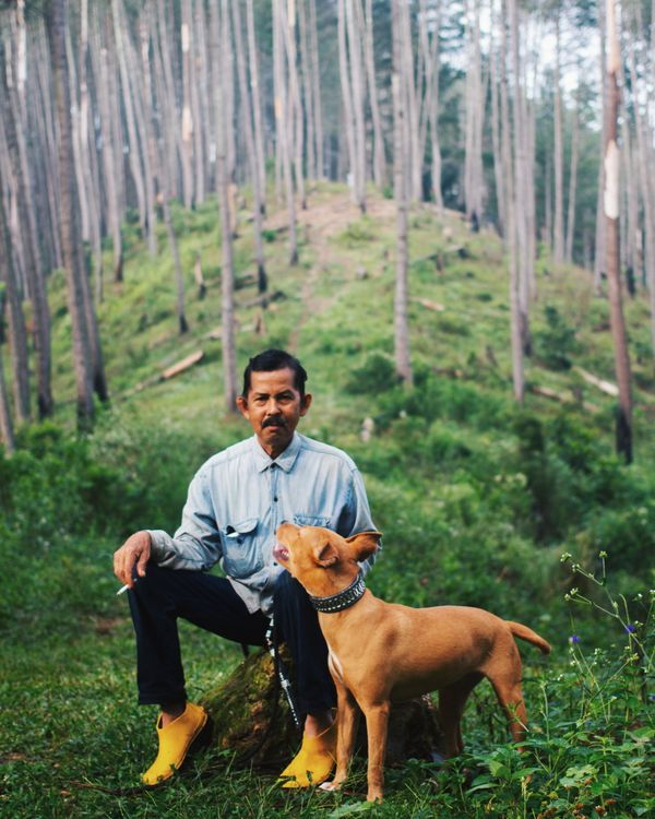 Man Sitting On A Rock With His Dog In The Woods · Free Stock Photo