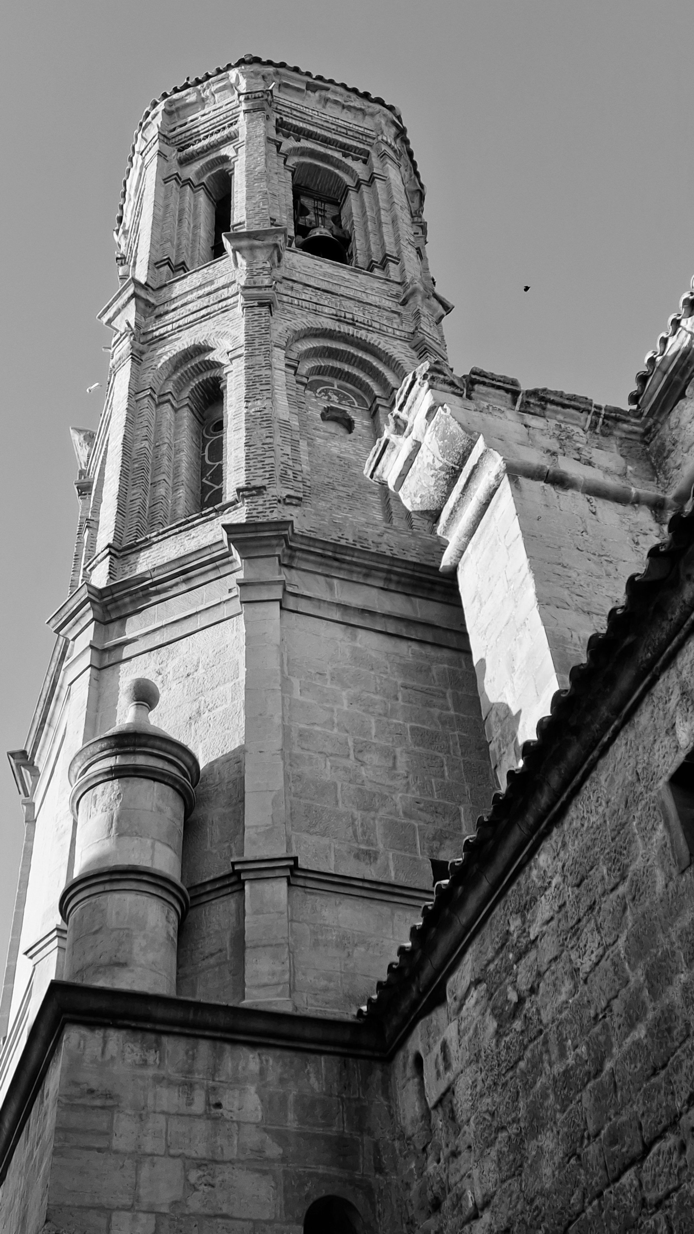 De franc Foto d'estoc gratuïta de @outdoor, adorns, angle baix Foto d'estoc