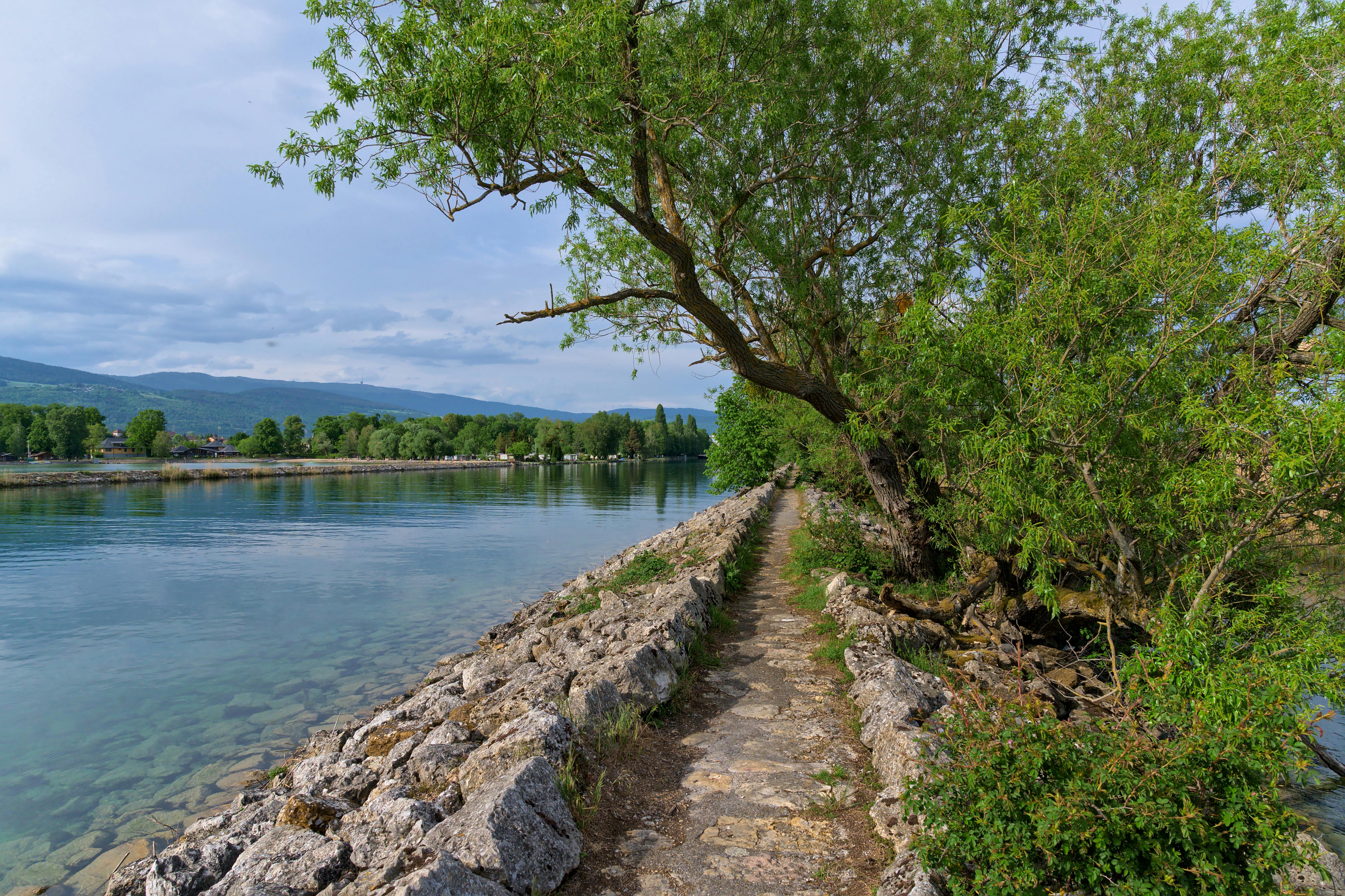 Sea-Level Rise and the Role of Geneva — Photo by Jean-Paul Wettstein on Pexels