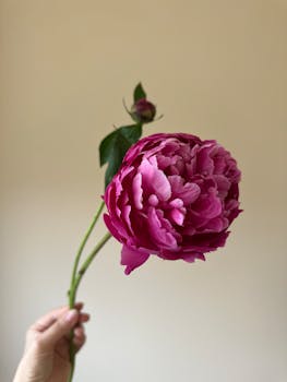 j-hope BTS Pamer Fotonya dalam Konsep Baru untuk Single Terbarunya "Killin' It Girl" - j-hope 1