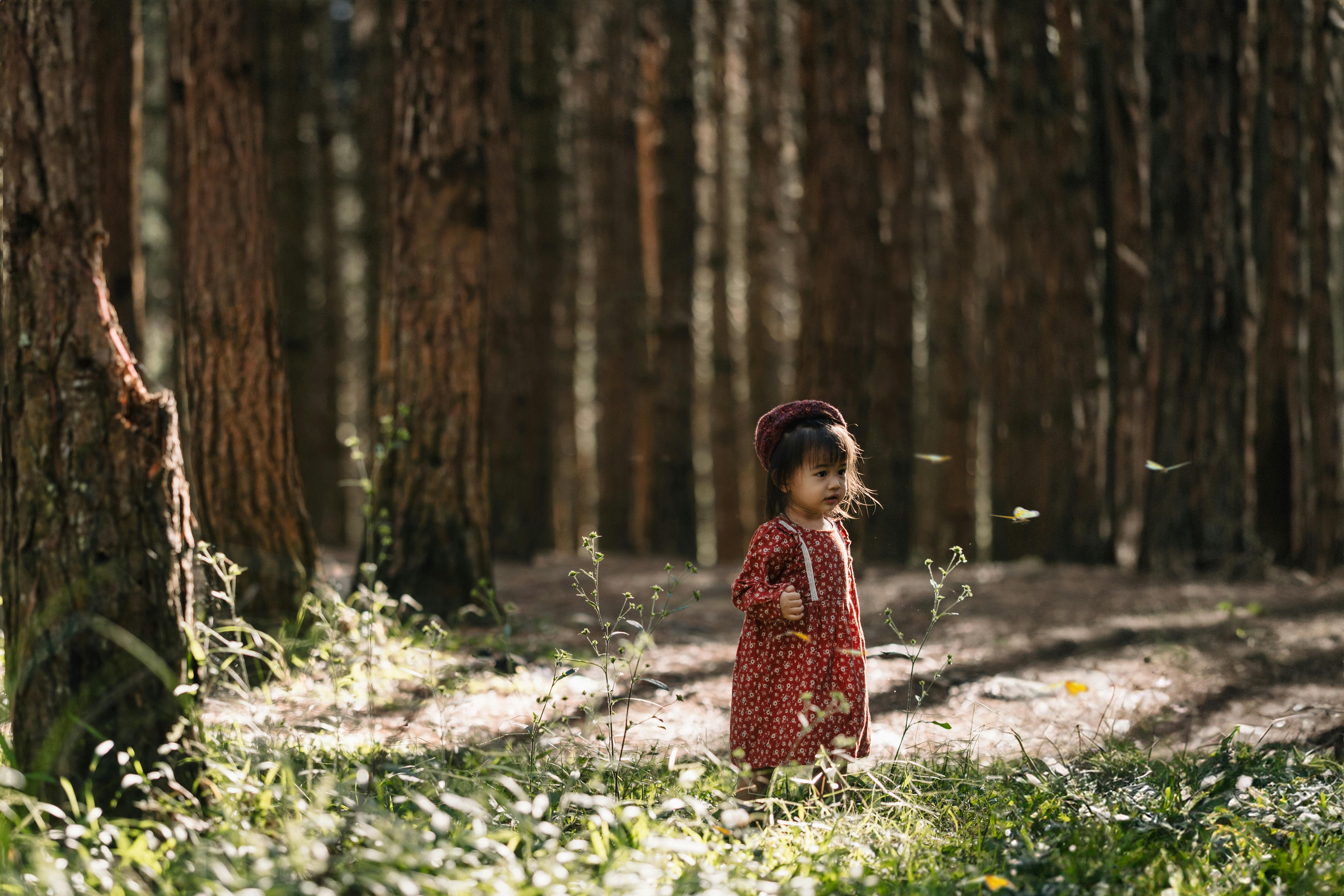 Little Grandad, sadie, cherry pick, Asara and ear lead this week's New Music Discovery playlist — Photo by Nguyên Đoàn on Pex