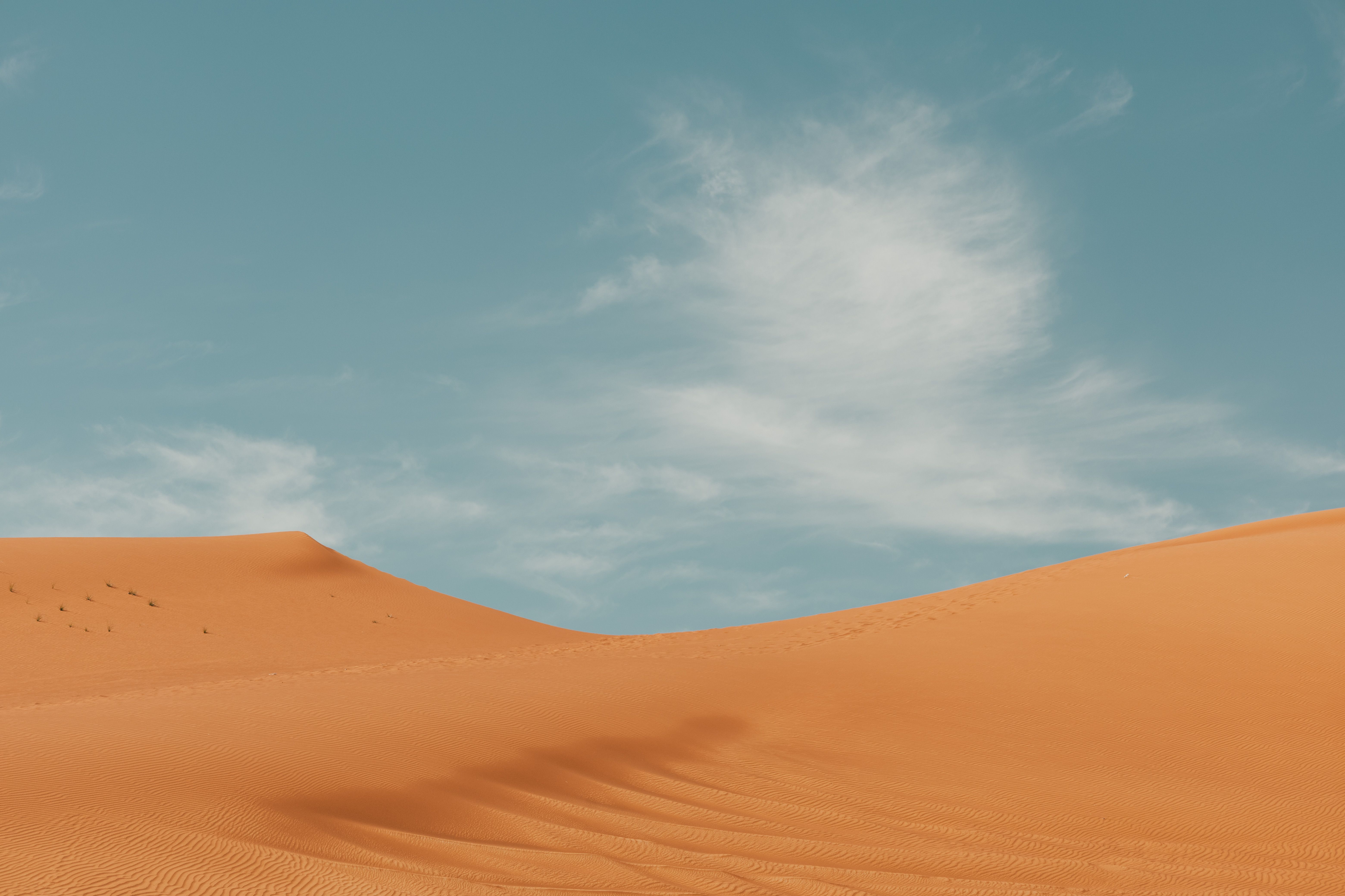 رؤية السعودية 2030