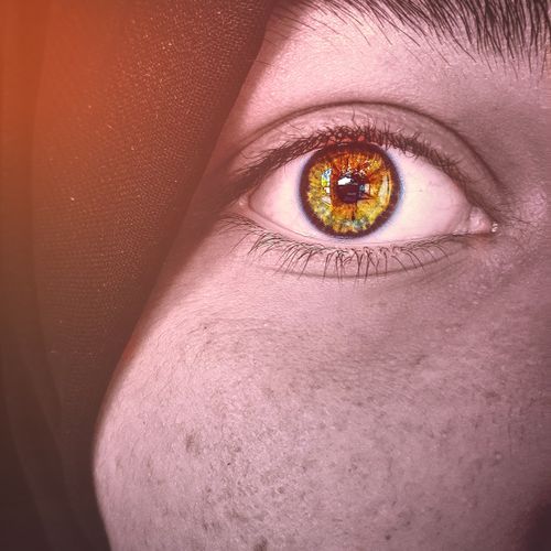Free stock photo of aesthetic, dynamic, eye Stock Photo