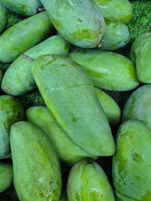 Free A vibrant pile of fresh green mangoes on display at a market in Jakarta, Indonesia. Stock Photo