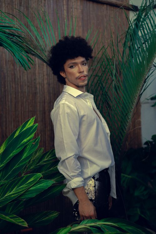 Free Fashionable Afro-Latino model in white shirt posing with tropical plants, showcasing natural beauty and style. Stock Photo